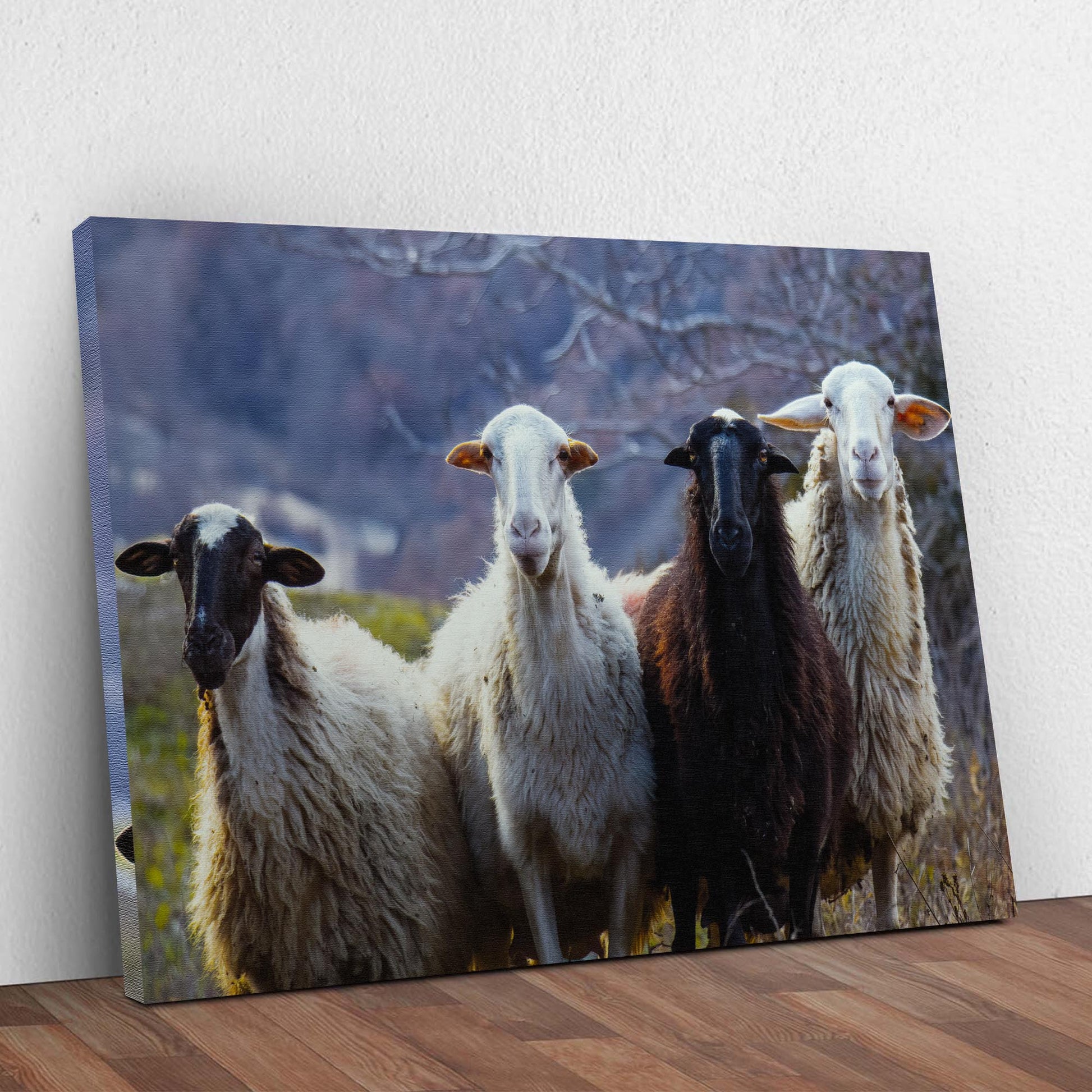 Country Sheep Canvas Wall Art Style 1 - Image by Tailored Canvases