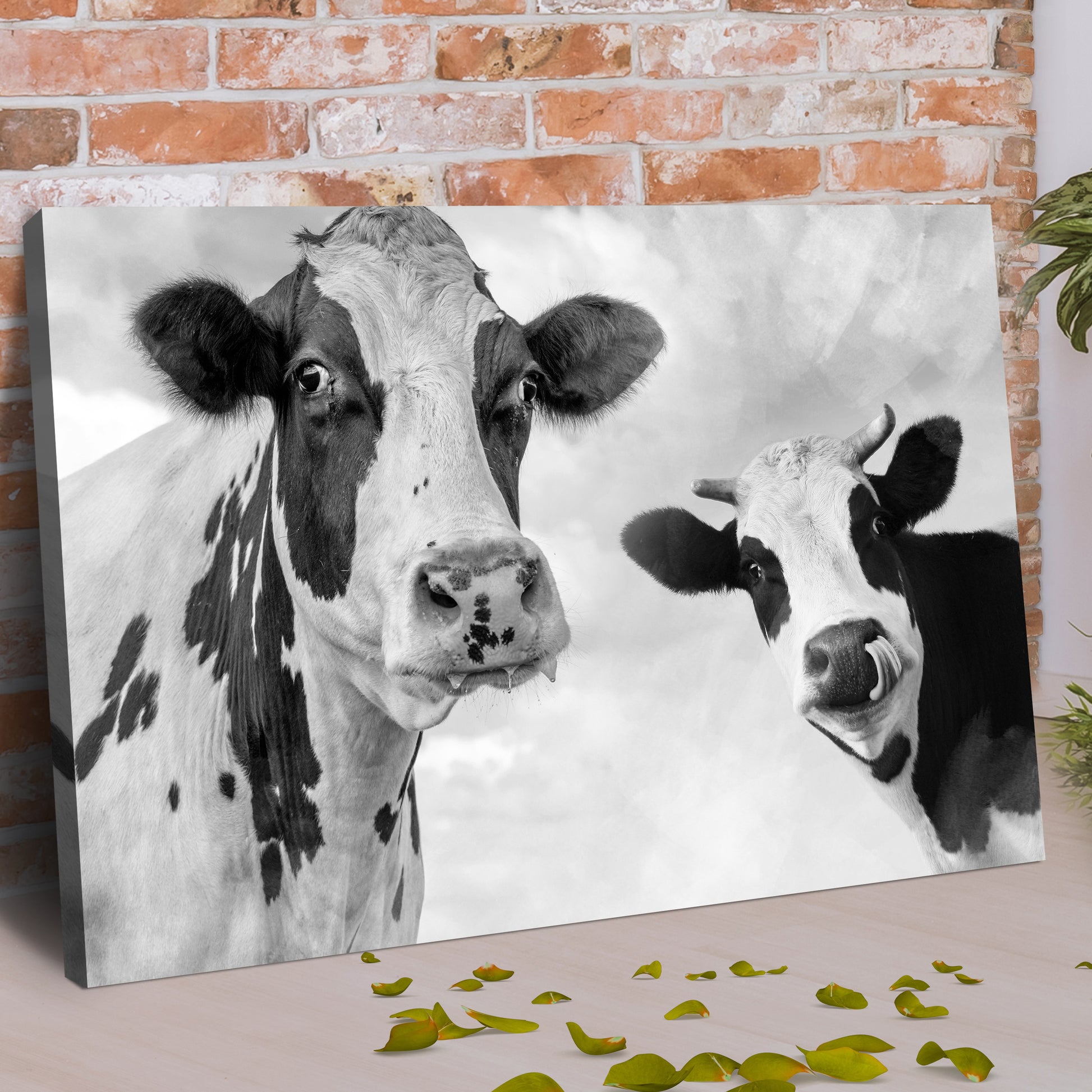 Monochrome Holstein Cows Canvas Wall Art Style 1 - Image by Tailored Canvases