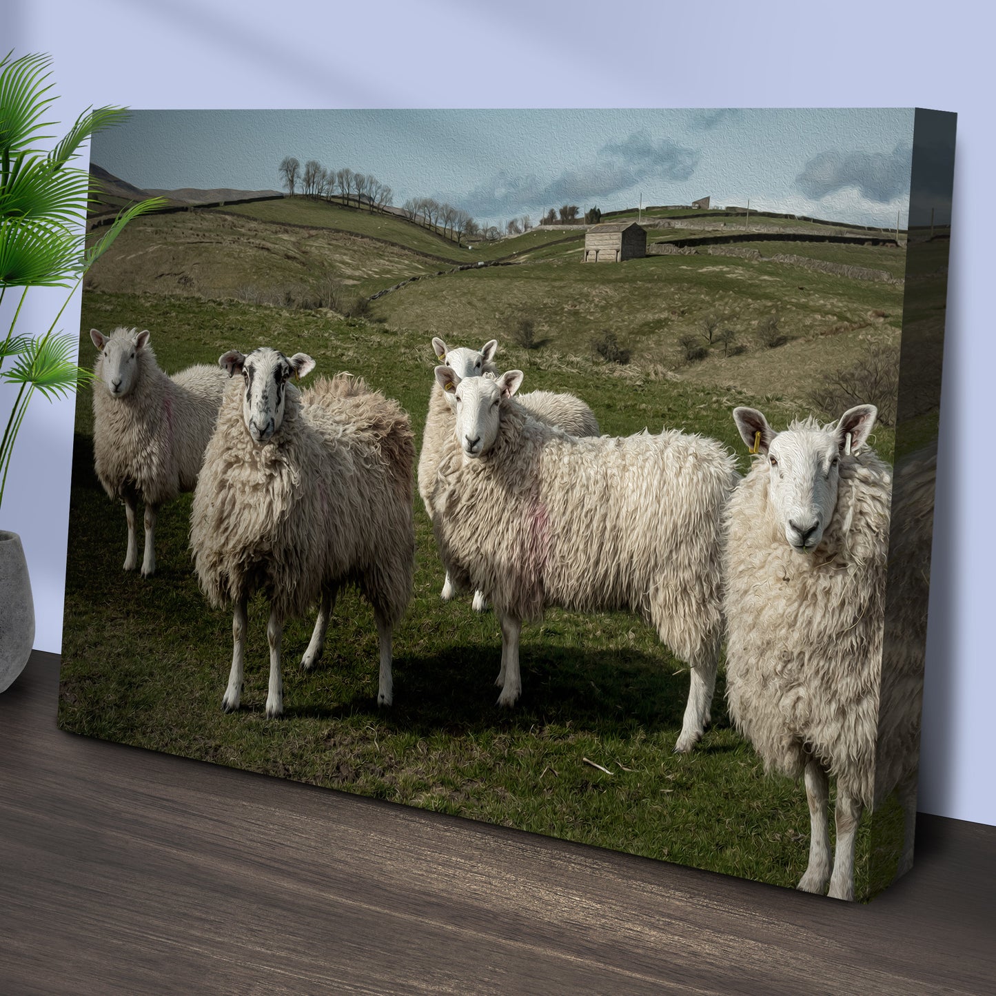 Flock Of Sheep Canvas Wall Art Style 1 - Image by Tailored Canvases