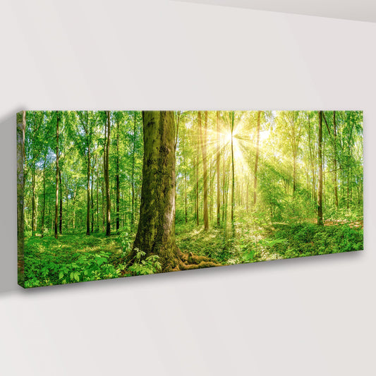 Golden Rays Into The Forest Canvas Wall Art - Image by Tailored Canvases