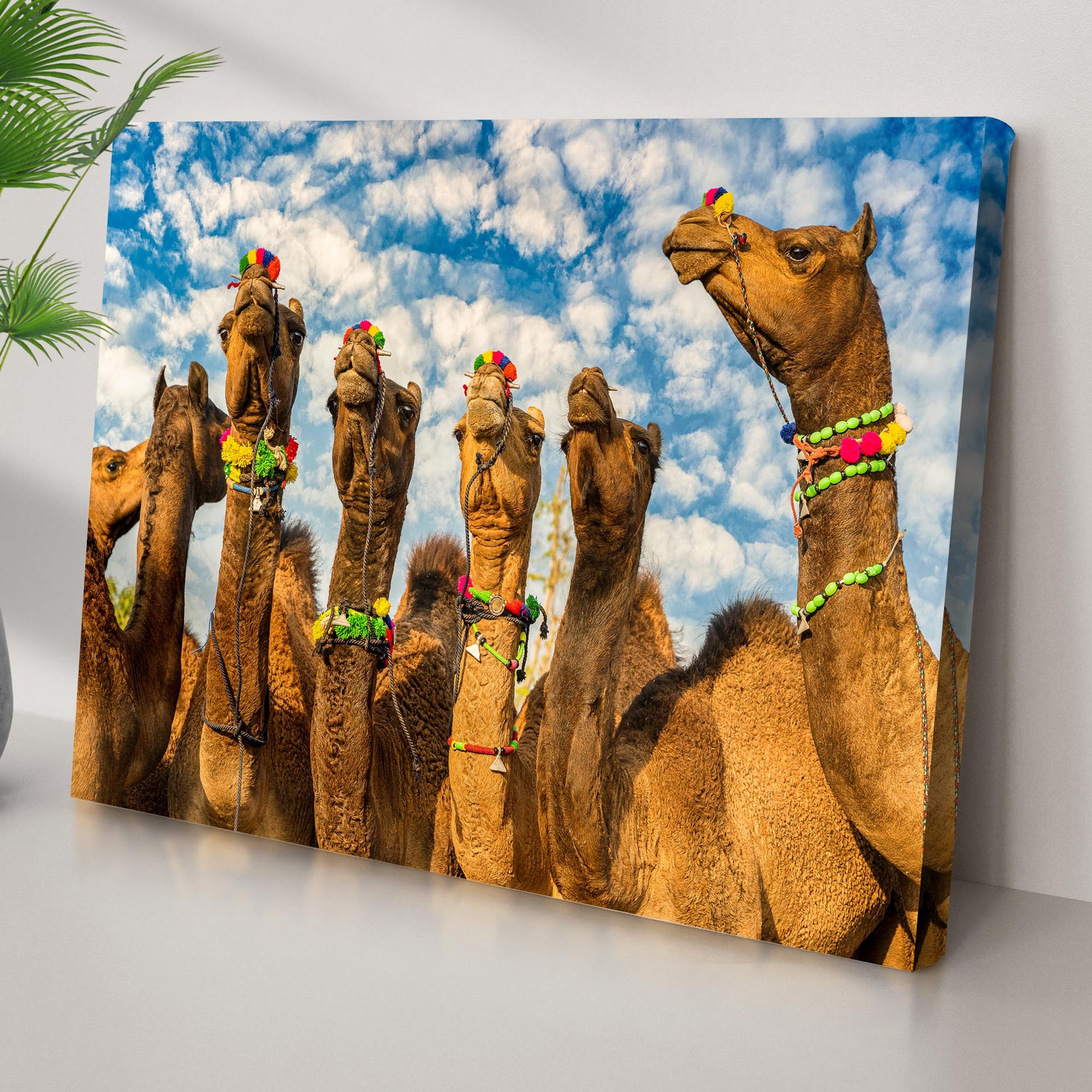 Pushkar Fair Camels Canvas Wall Art Style 1 - Image by Tailored Canvases