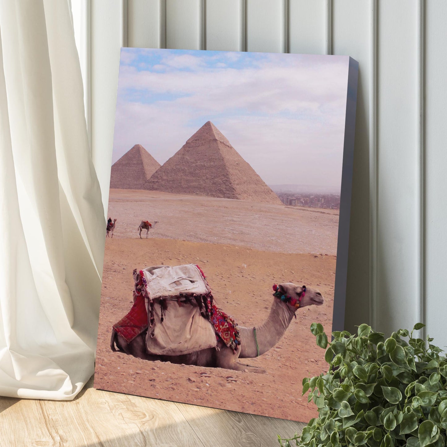 Camel In Giza Canvas Wall Art Style 1 - Image by Tailored Canvases