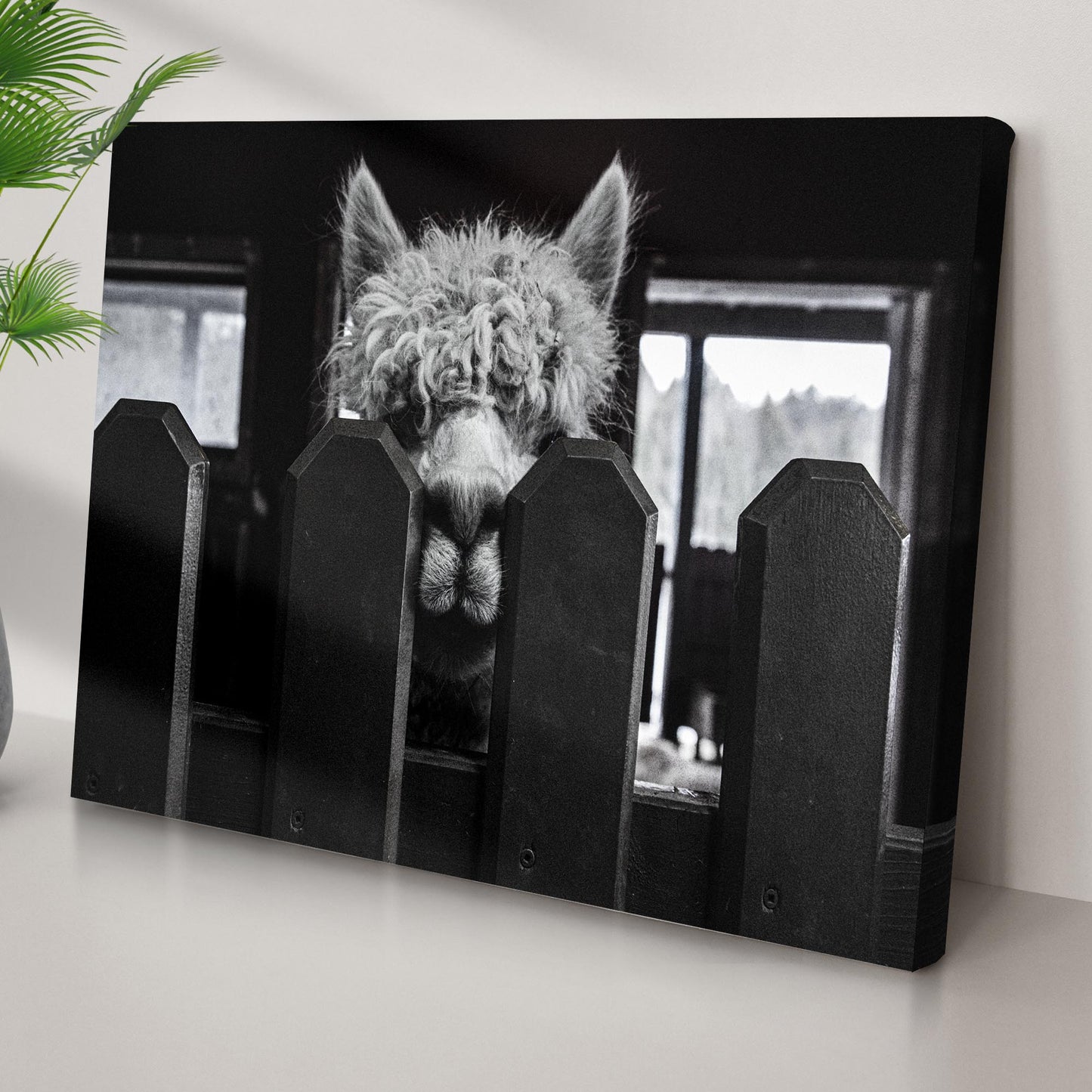 Monochrome Alpaca Behind The Fence Canvas Wall Art Style 1 - Image by Tailored Canvases