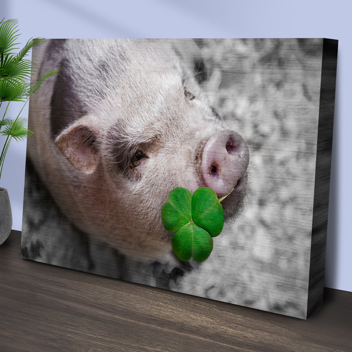 Pig With Shamrock Canvas Wall Art Style 1 - Image by Tailored Canvases