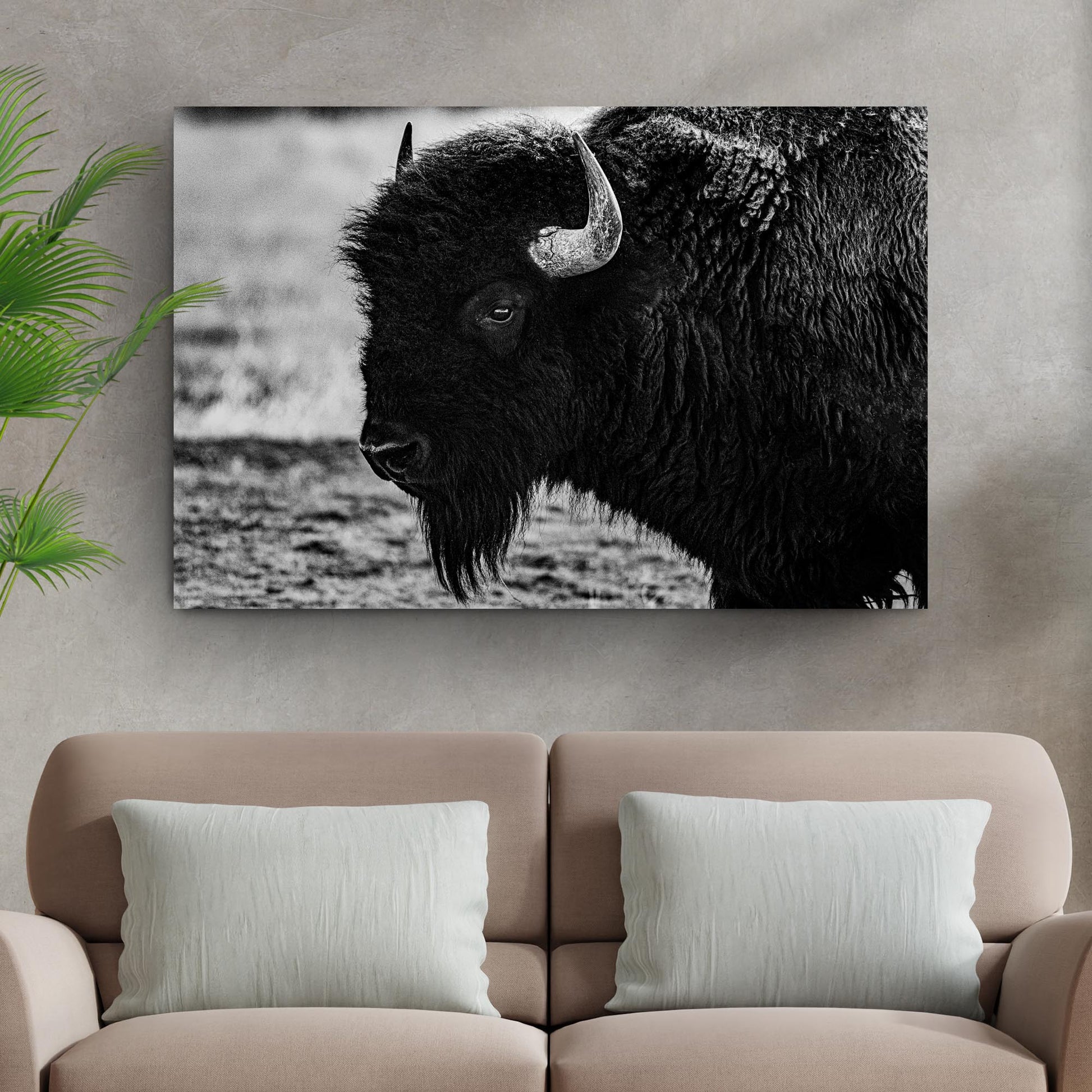 Black and White Bison Canvas Wall Art - Image by Tailored Canvases