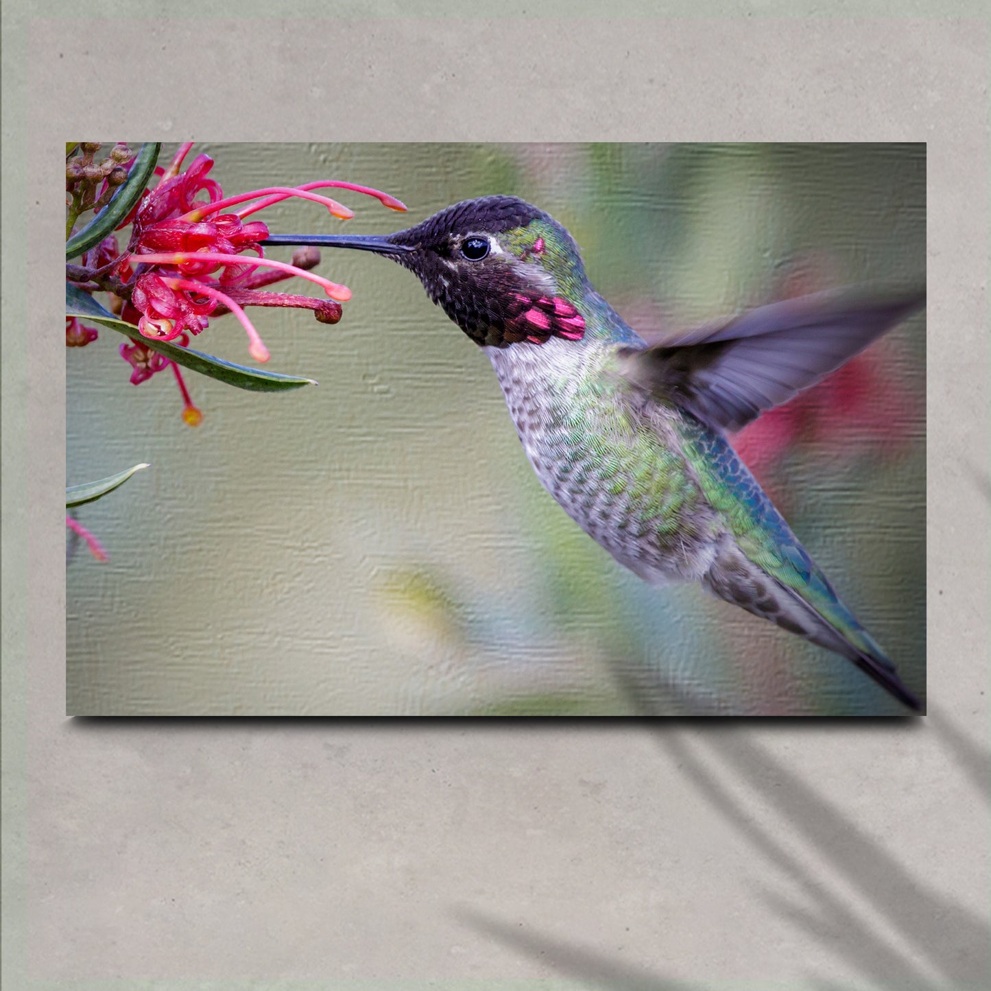 Hummingbird Spring Canvas Wall Art Style 1 - Image by Tailored Canvases