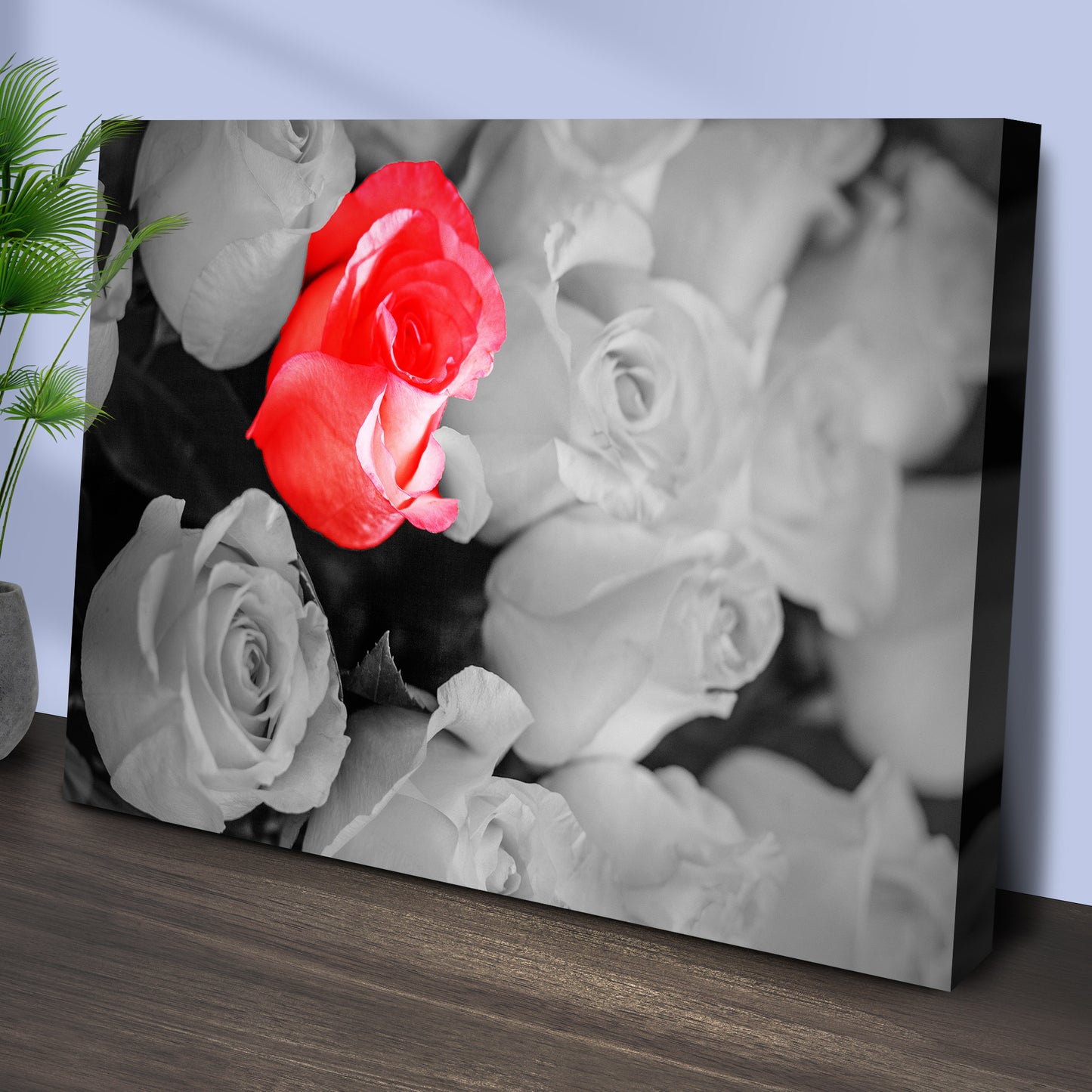Red Among White Roses Pop Canvas Wall Art Style 1 - Image by Tailored Canvases