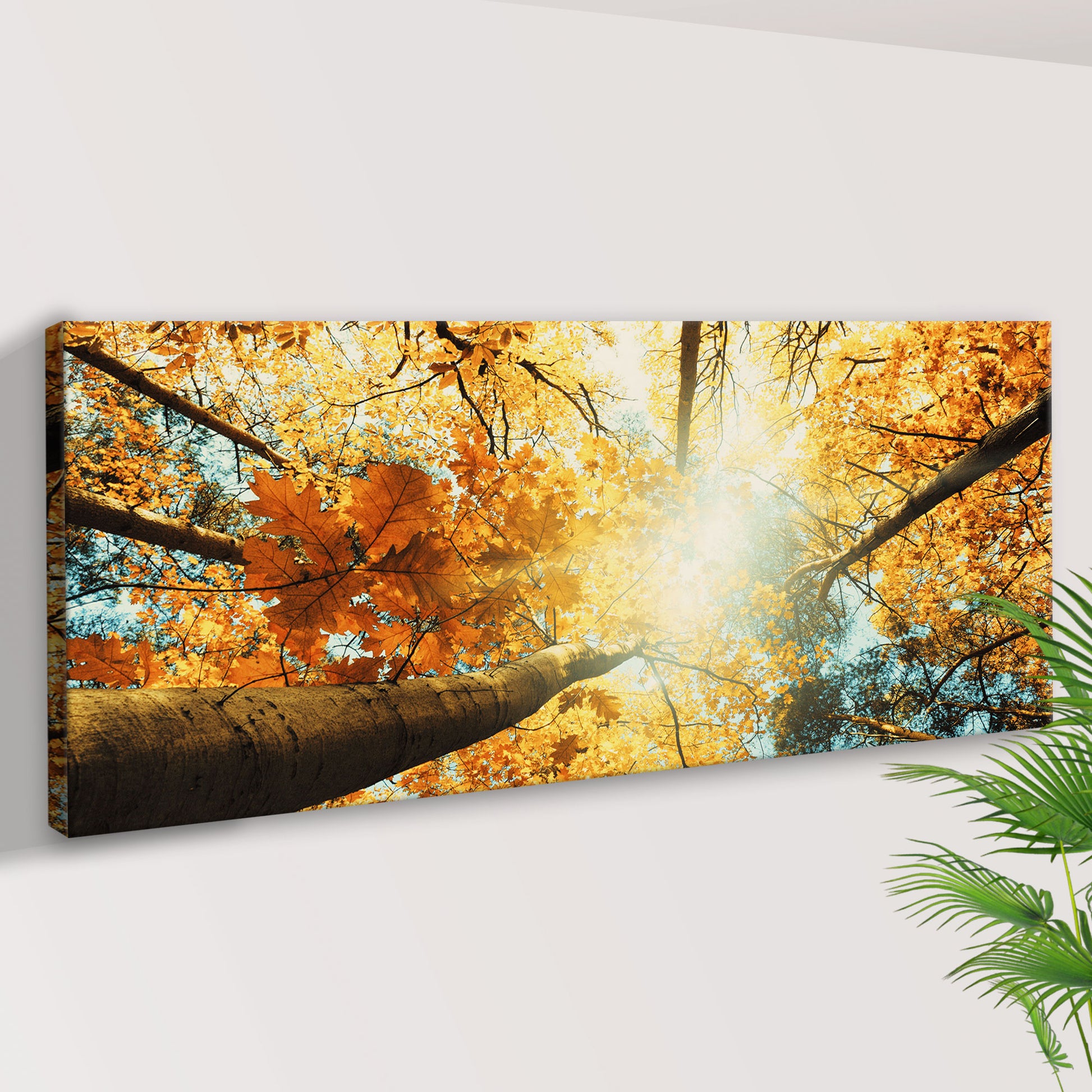 Ground View Autumn Trees Canvas Wall Art Style 1 - Image by Tailored Canvases