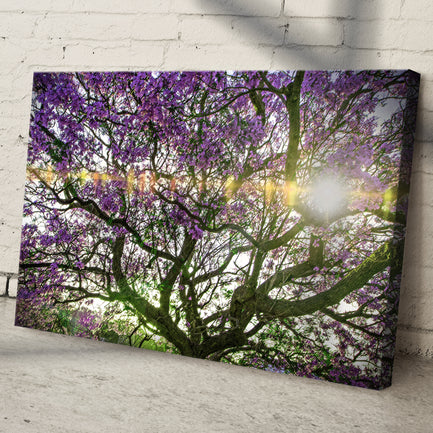 Blue Jacaranda Trees Canvas Wall Art - Image by Tailored Canvases