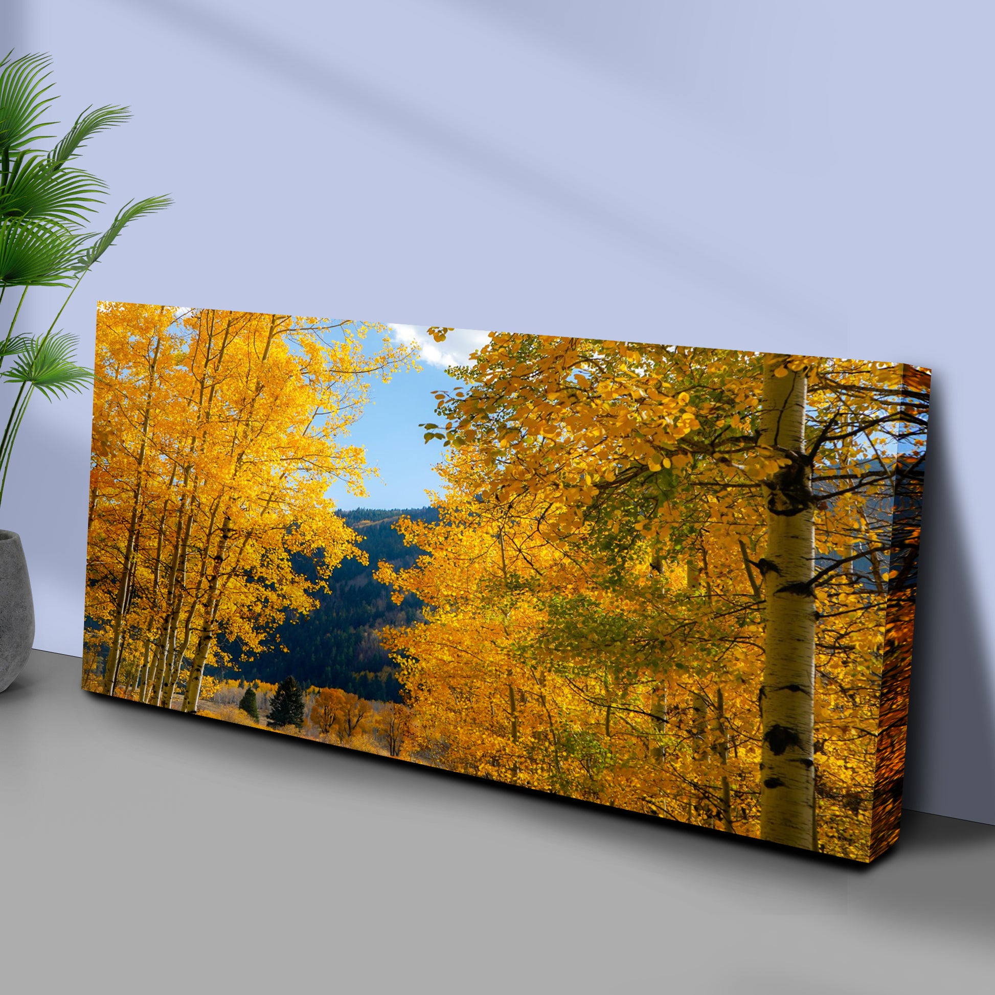 Colorado Aspen Forest Canvas Wall Art Style 1 - Image by Tailored Canvases