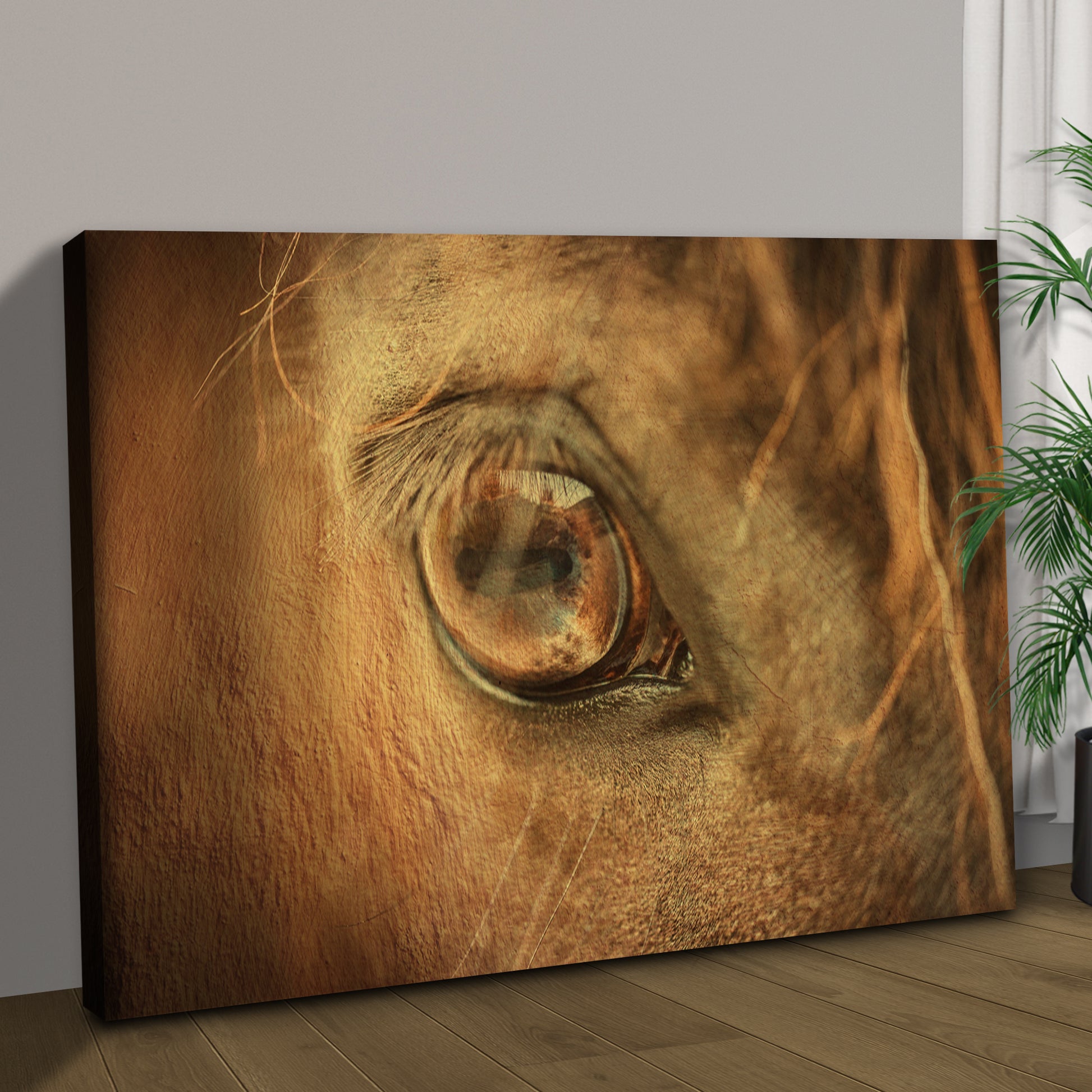 Macro Horse Eye Canvas Wall Art Style 1 - Image by Tailored Canvases