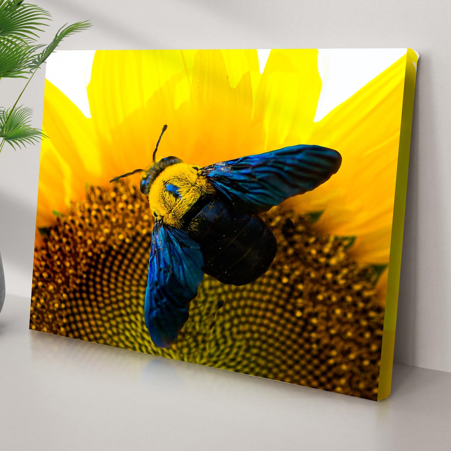 Bee Hoverfly Above A Sunflower Canvas Wall Art Style 1 - Image by Tailored Canvases