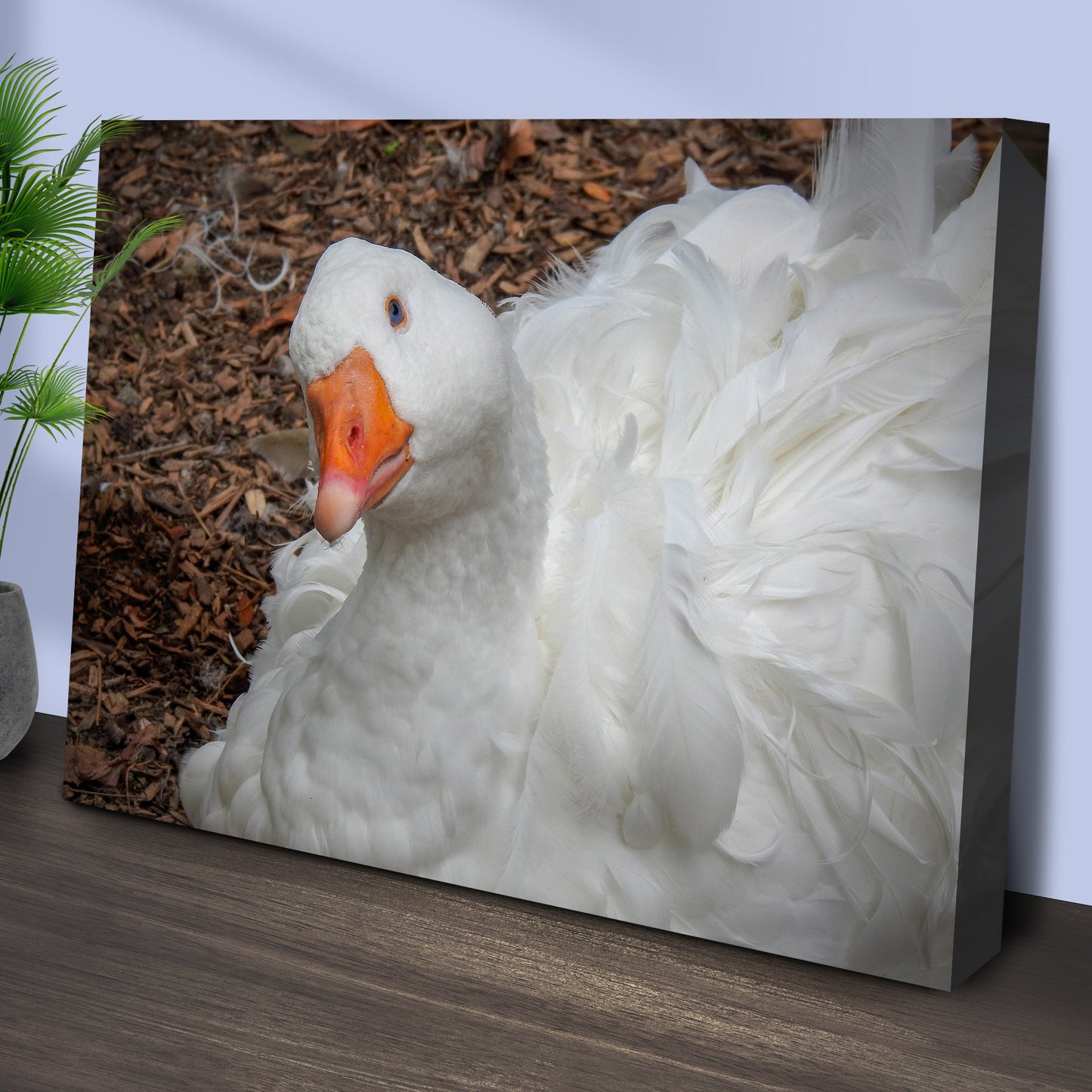 Goose Who's Waiting Canvas Wall Art Style 1 - Image by Tailored Canvases