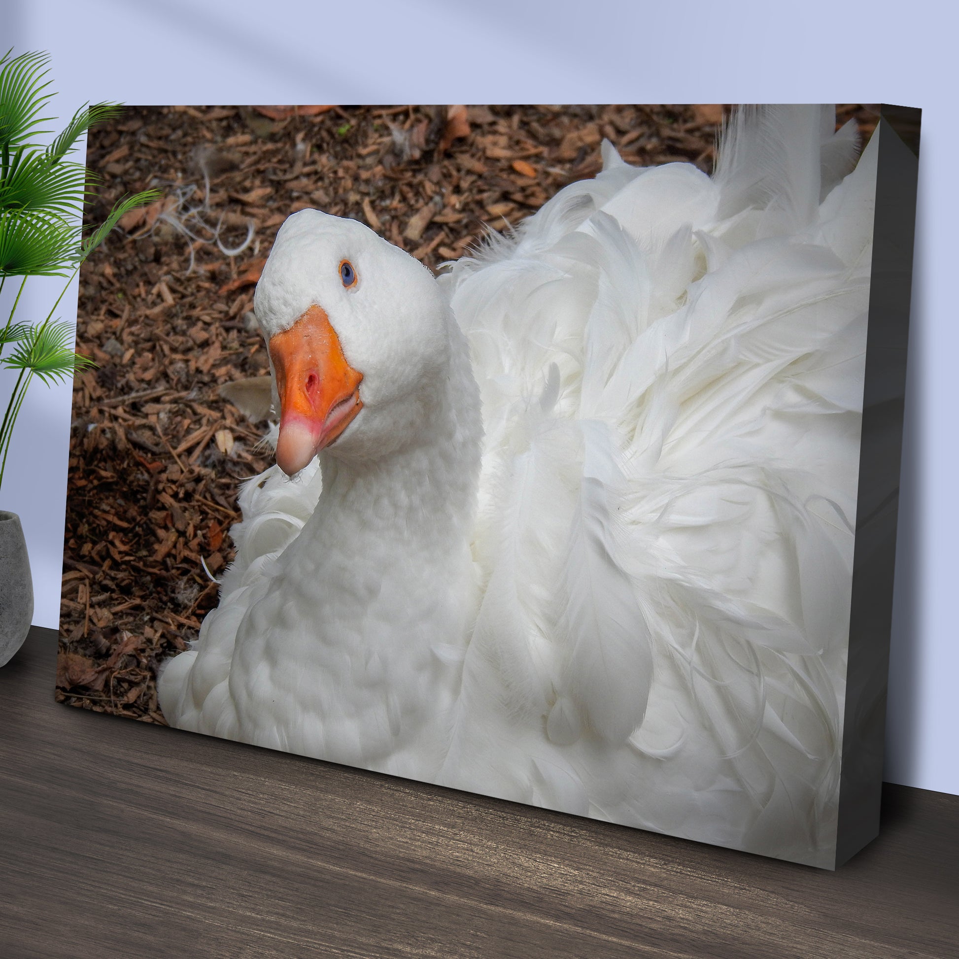 Goose Who's Waiting Canvas Wall Art Style 1 - Image by Tailored Canvases