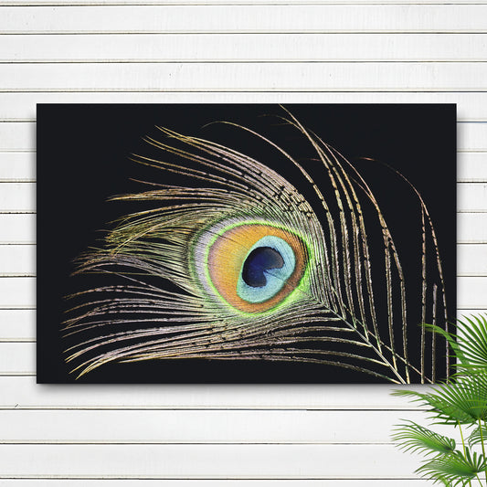 Decor Elements Feather Peacock Canvas Wall Art - Image by Tailored Canvases