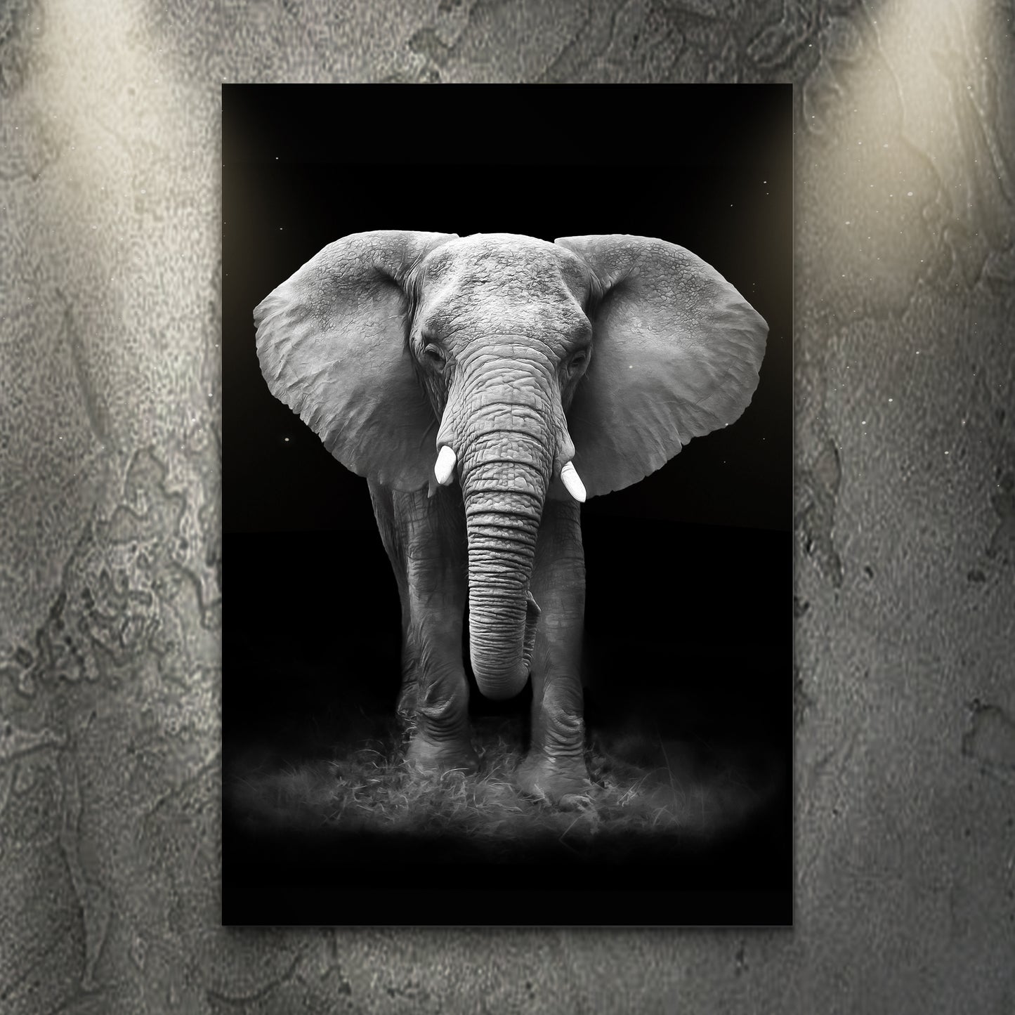 Black and White Elephant Portrait Canvas Wall Art Style 1 - Image by Tailored Canvases