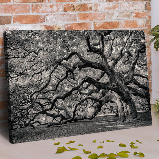 Monochrome Angel Oak Tree Canvas Wall Art