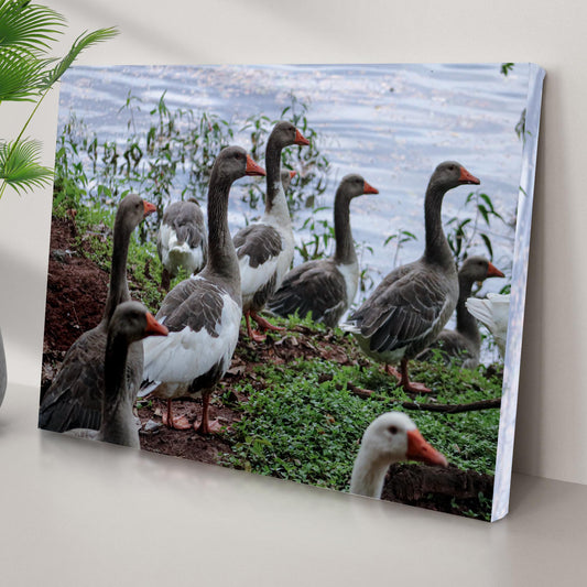 Flock Of Domestic Geese Canvas Wall Art - Image by Tailored Canvases