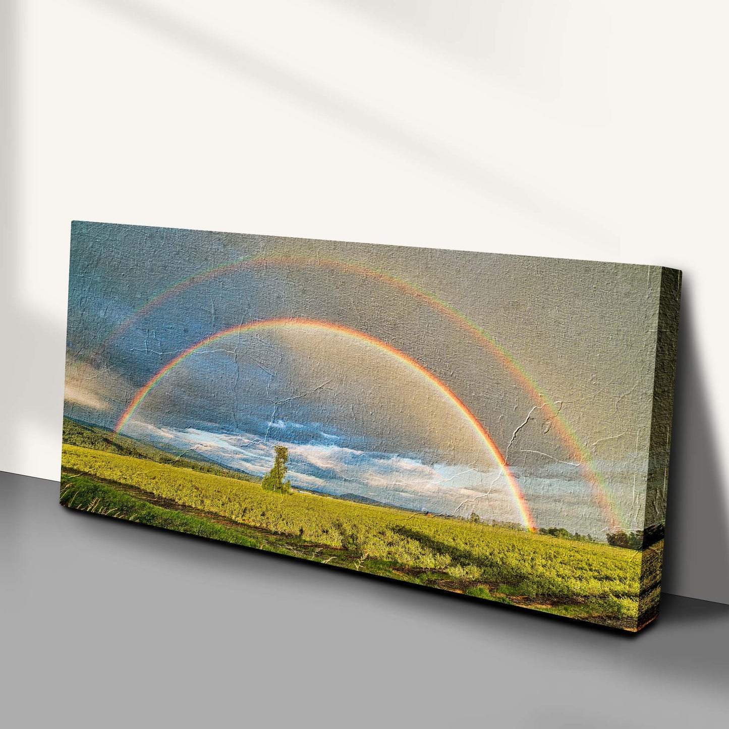 Double Rainbow Over The Field Canvas Wall Art Style 1 - Image by Tailored Canvases
