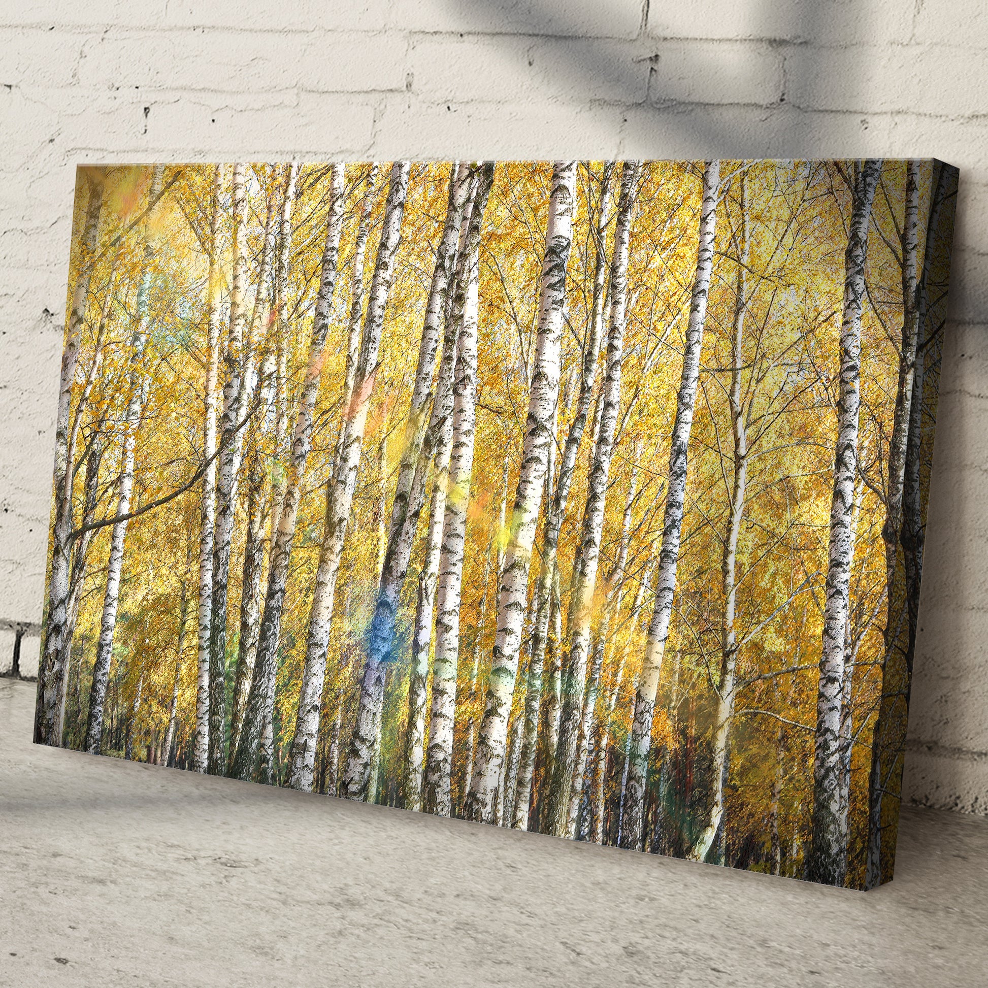 White Birch Trees With Golden Leaves Canvas Wall Art Style 1 - Image by Tailored Canvases