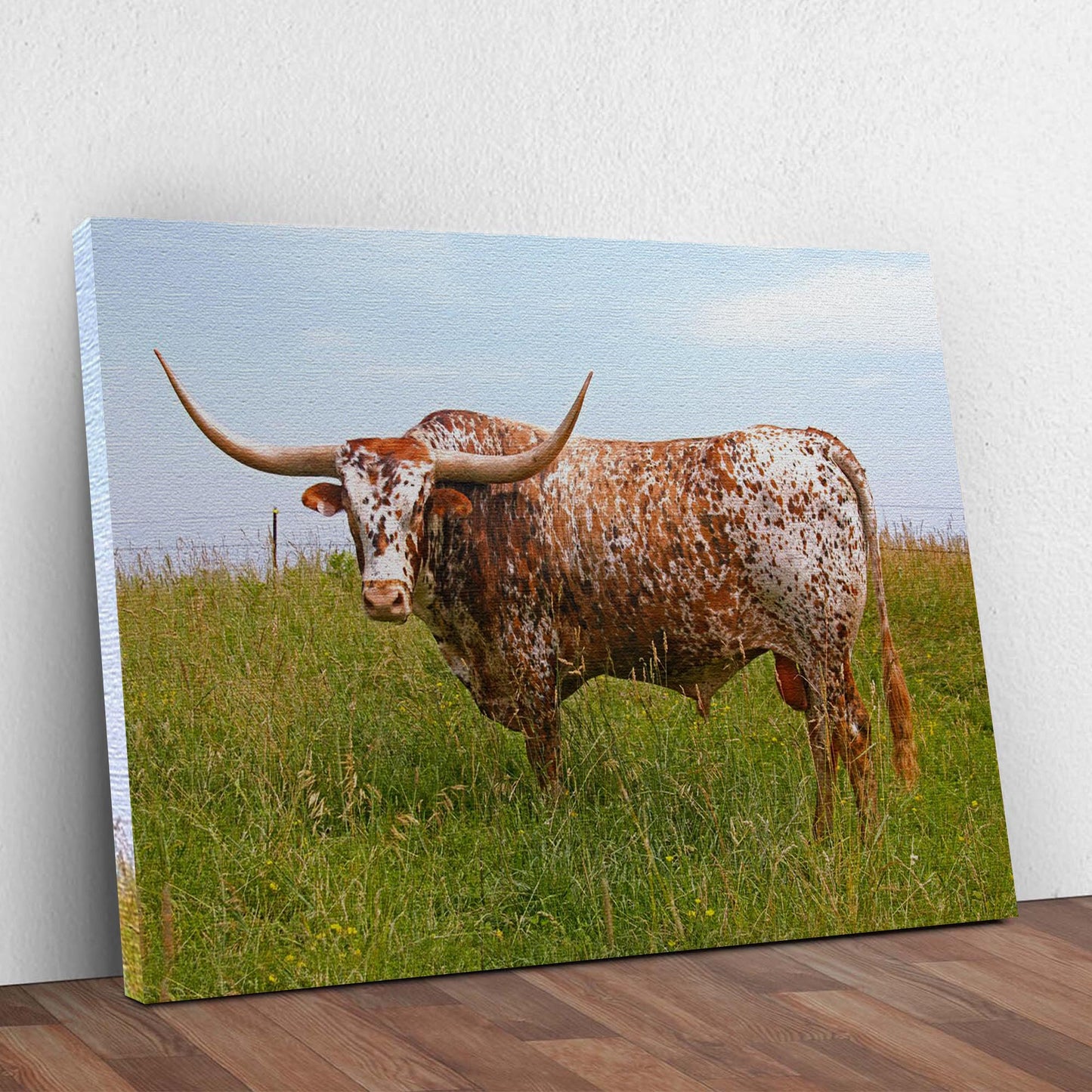 Texas Longhorn Cattle Canvas Wall Art Style 2 - Image by Tailored Canvases
