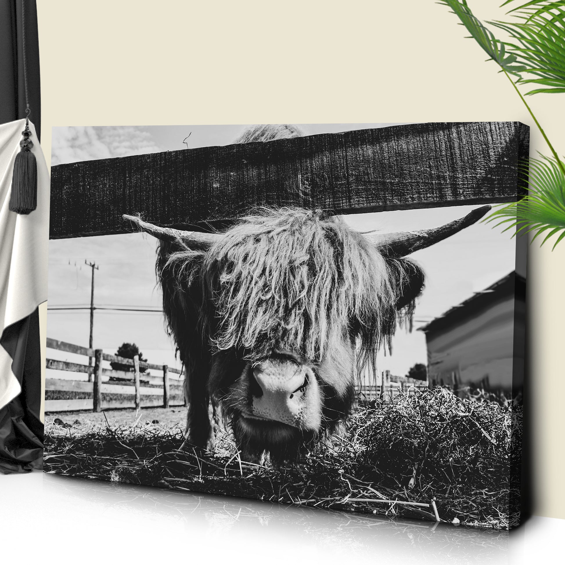 Curious Highland Cattle Monochrome Canvas Wall Art Style 1 - Image by Tailored Canvases