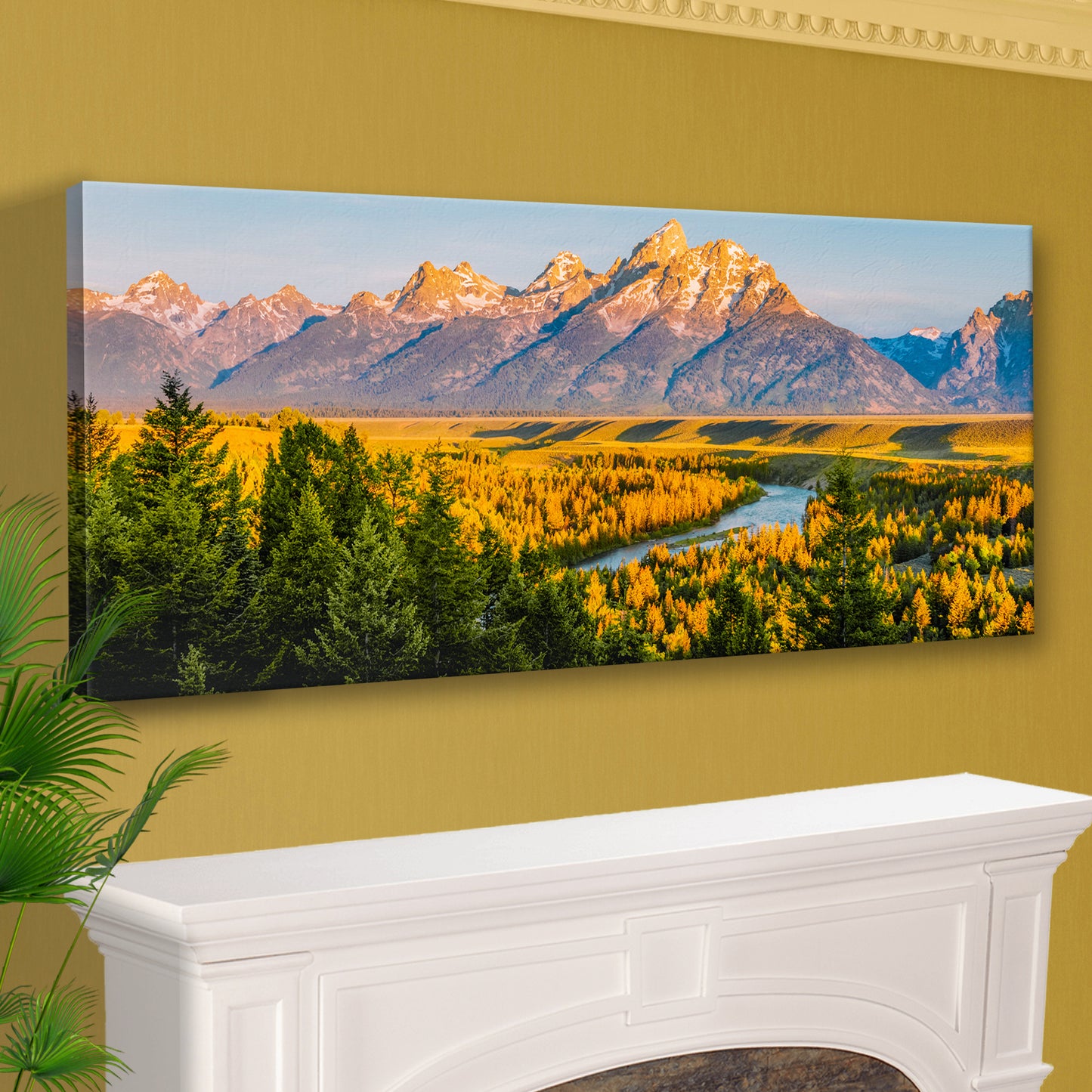 Grand Teton Aspen Trees Canvas Wall Art Style 1 - Image by Tailored Canvases