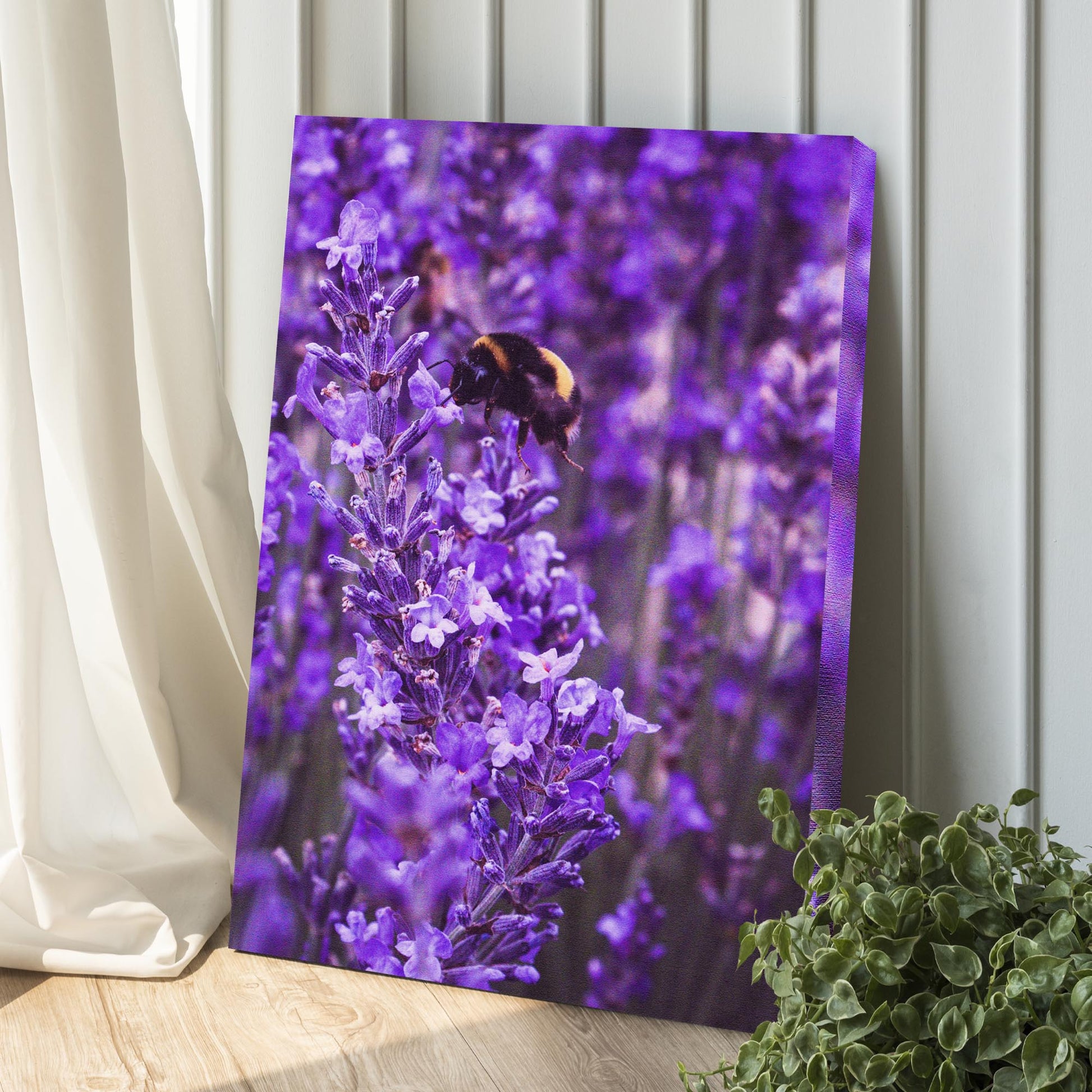 Bee Among Lavender Fields Canvas Wall Art Style 1 - Image by Tailored Canvases