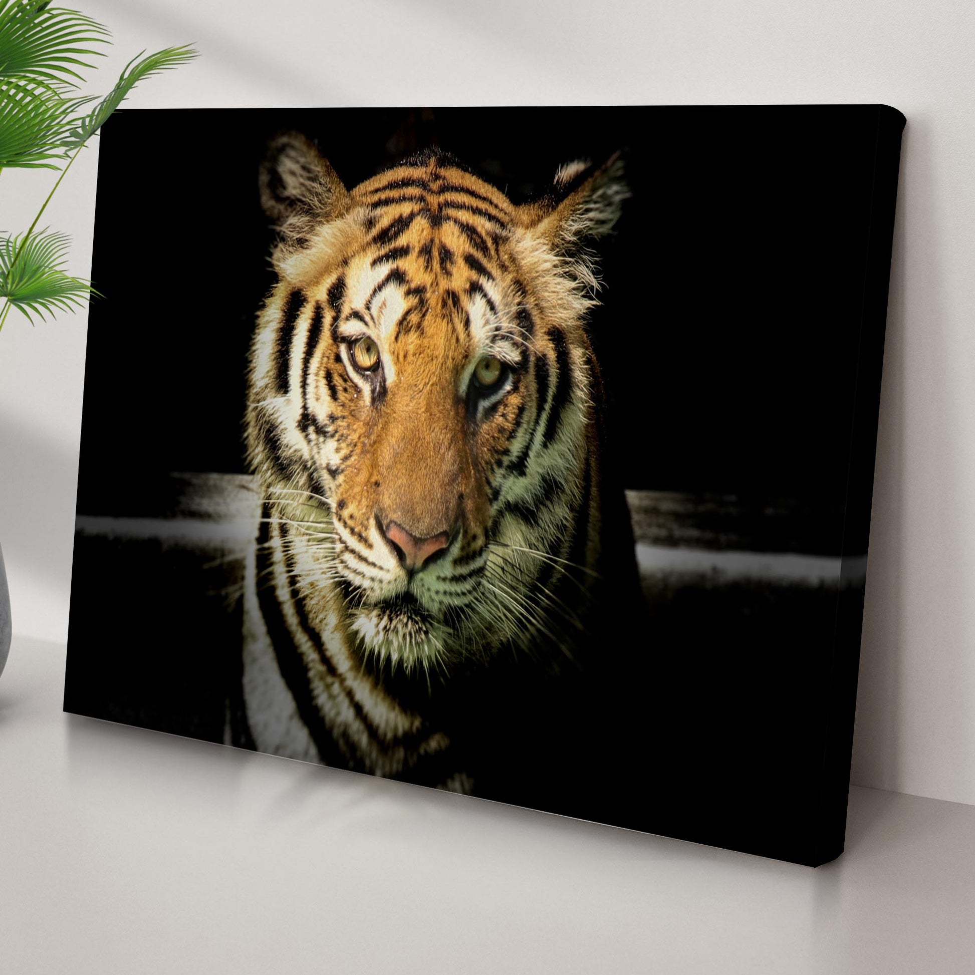 Lurking Tiger In The Dark Canvas Wall Art Style 2 - Image by Tailored Canvases