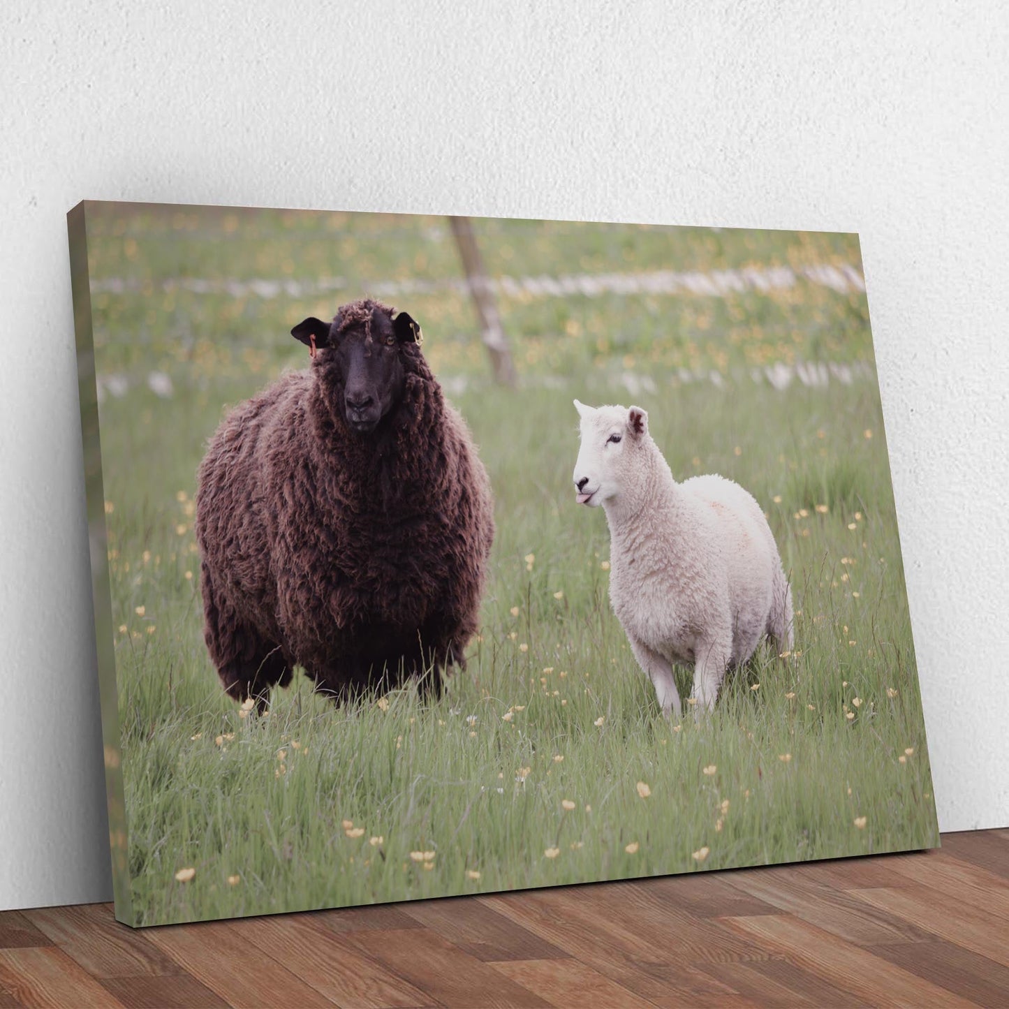 Hello Dally The Sheep Canvas Wall Art Style 1 - Image by Tailored Canvases