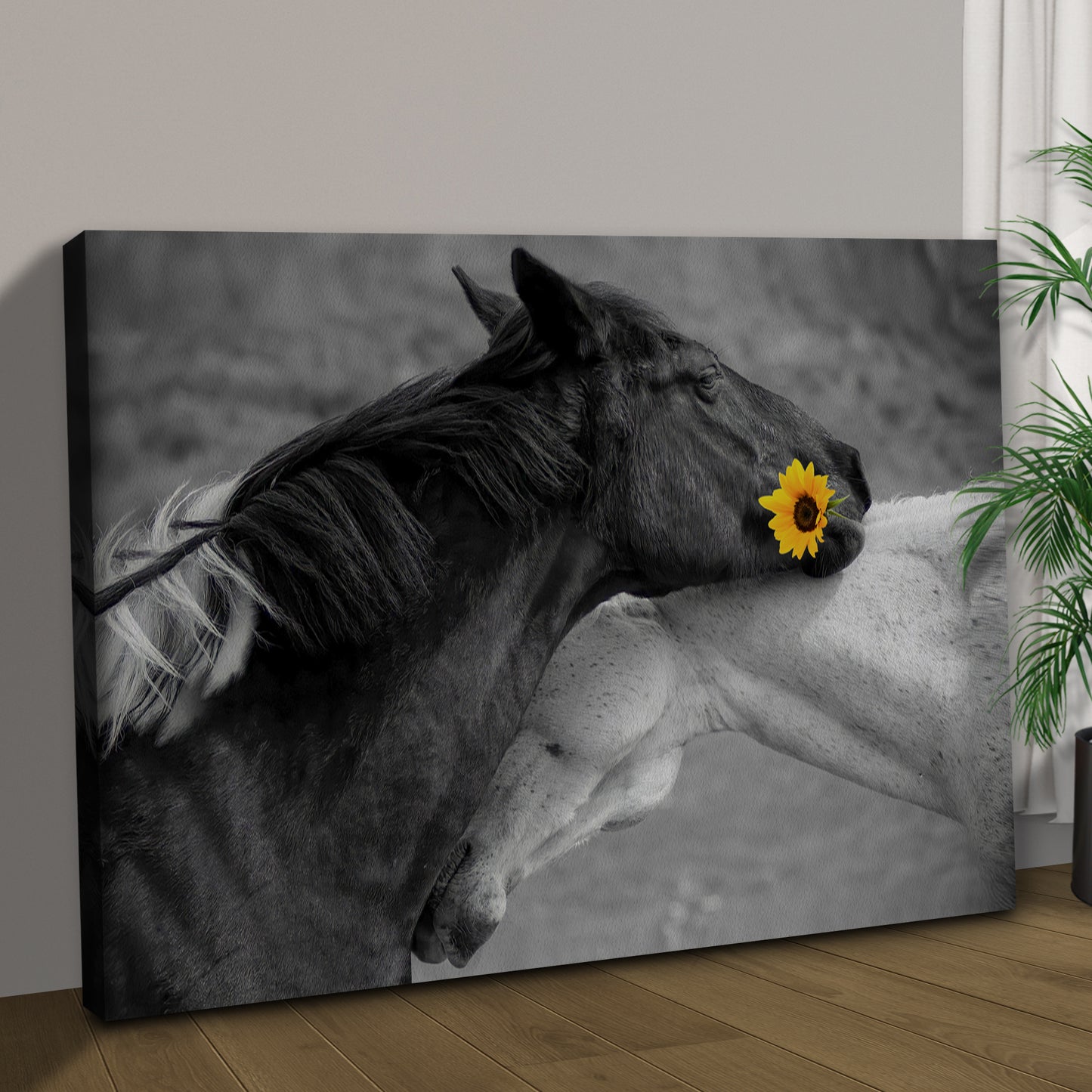 Sweet Black And White Horses Canvas Wall Art Style 1 - Image by Tailored Canvases