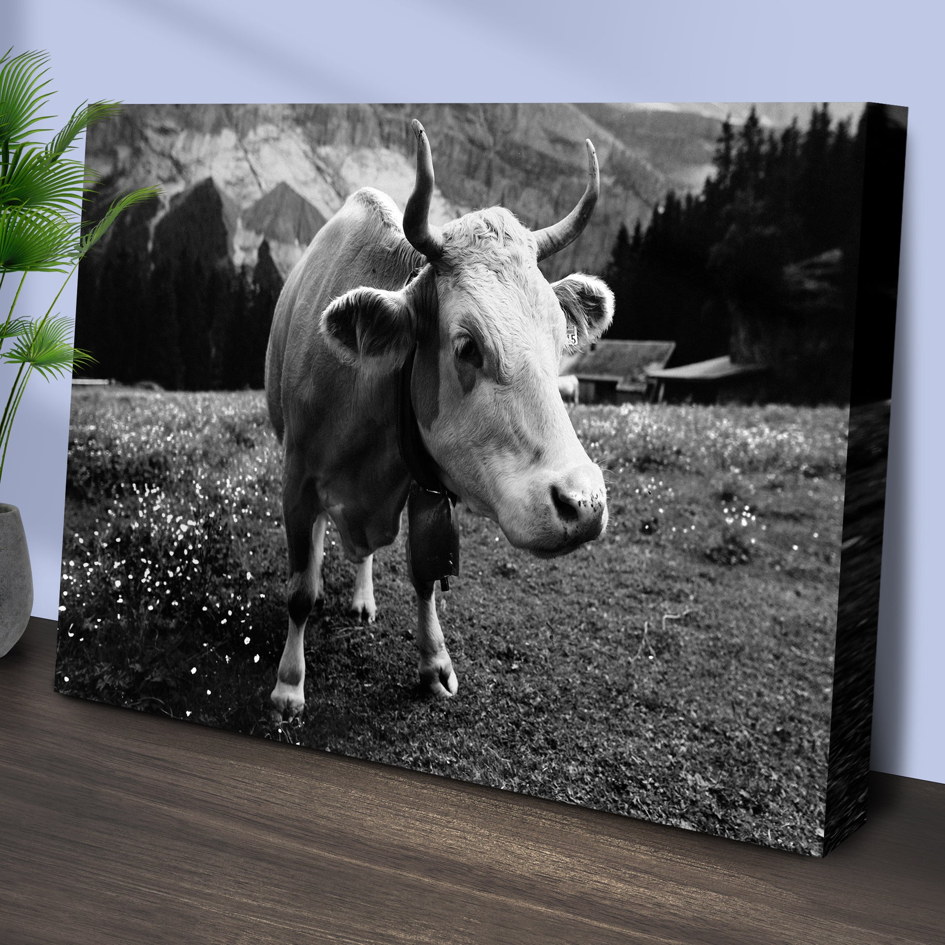 Monochrome Cattle Canvas Wall Art Style 1 - Image by Tailored Canvases