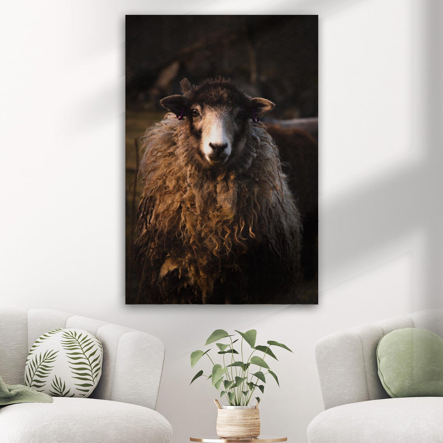 Sheep Stare Portrait Canvas Wall Art - Image by Tailored Canvases