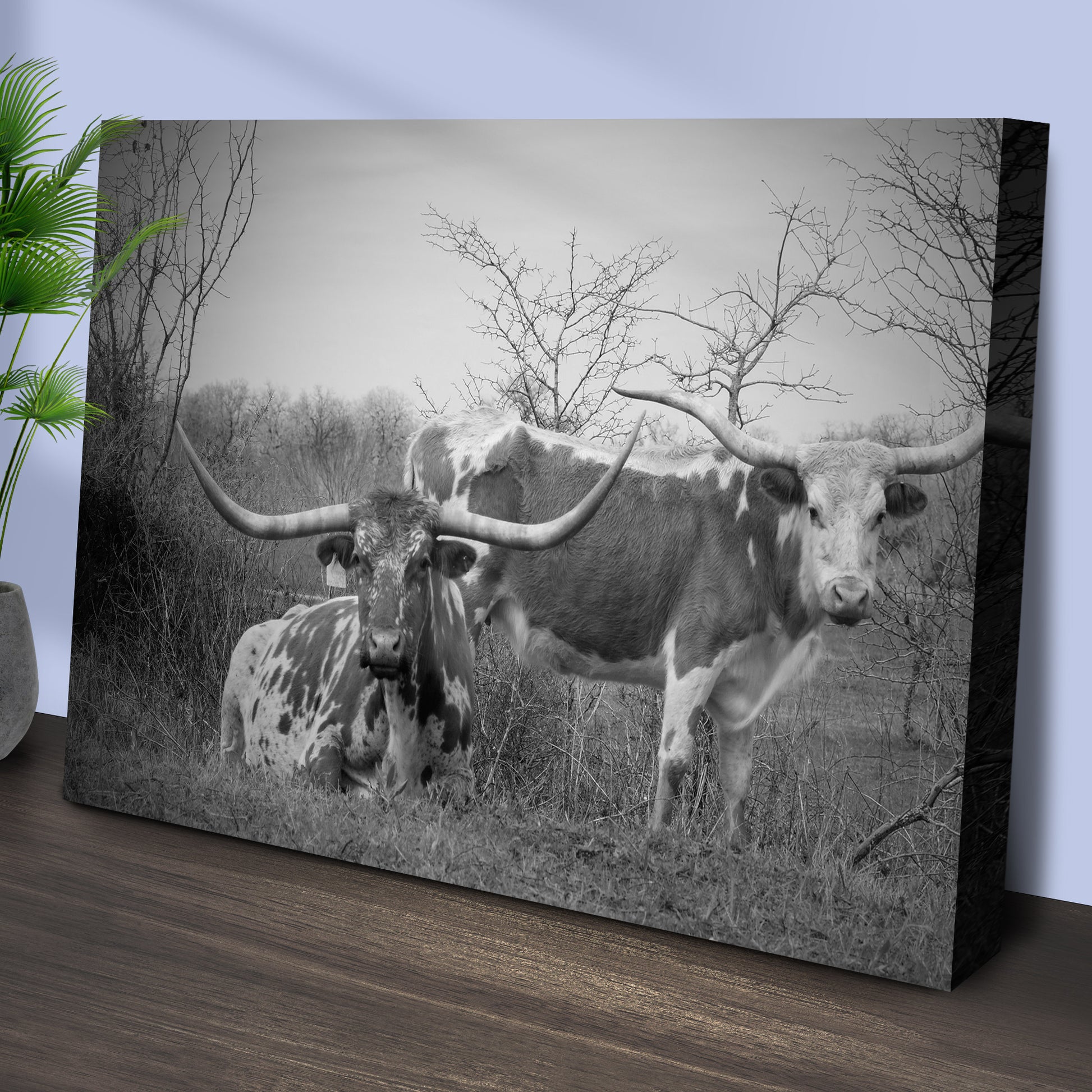 Monochrome Texas Longhorn Cattle Canvas Wall Art Style 1 - Image by Tailored Canvases