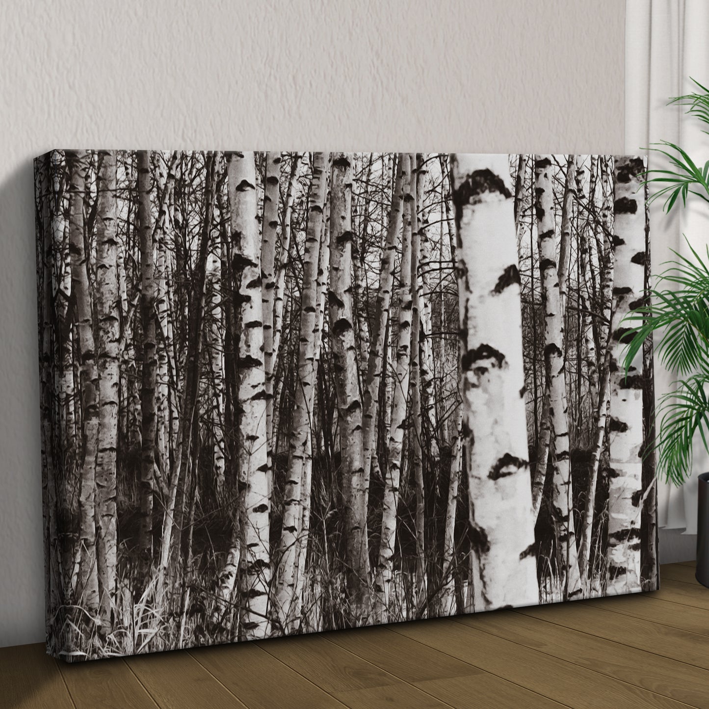Grayscale Birch Tree Trunks Canvas Wall Art Style 1 - Image by Tailored Canvases