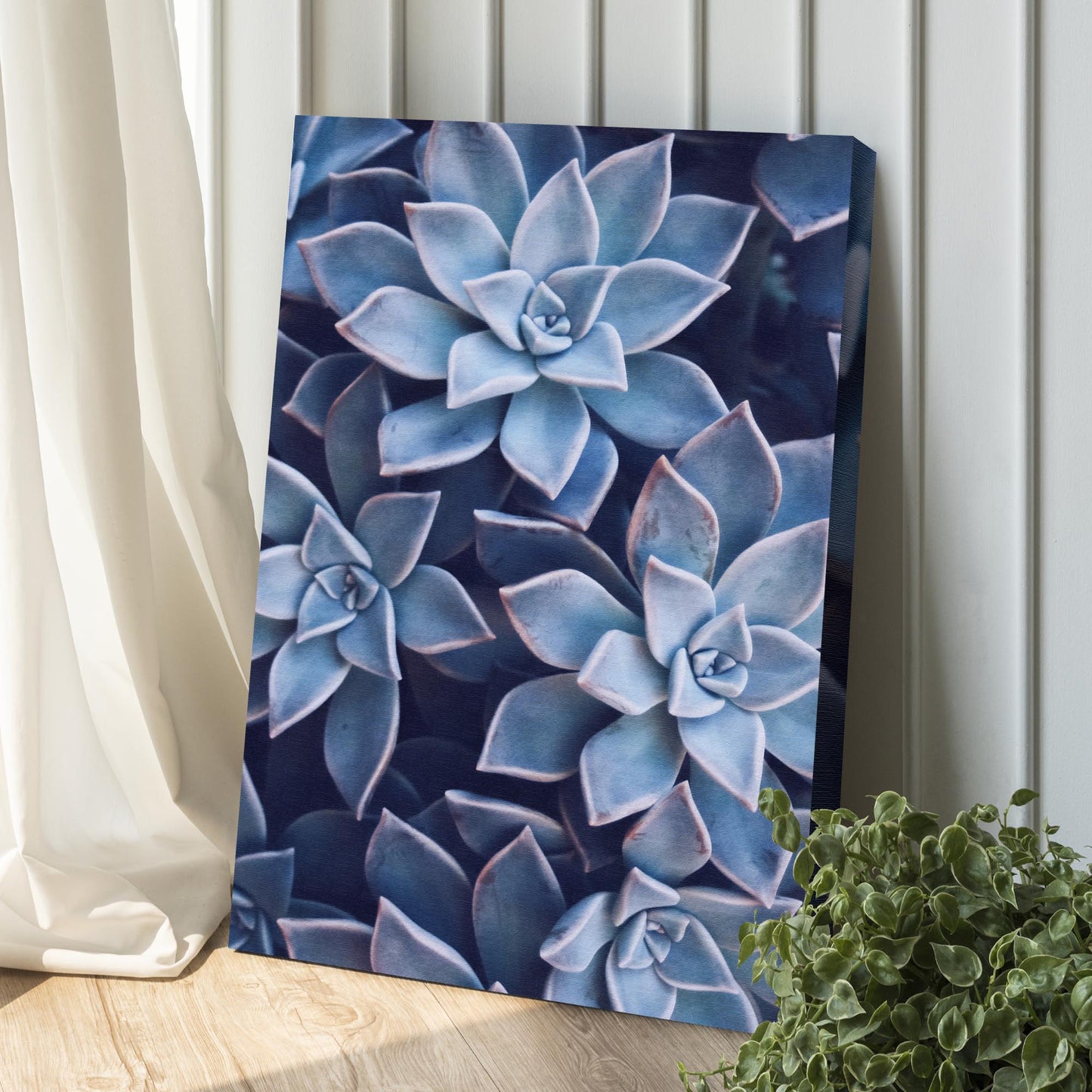 Teal Rose Succulent Canvas Wall Art Style 1 - Image by Tailored Canvases