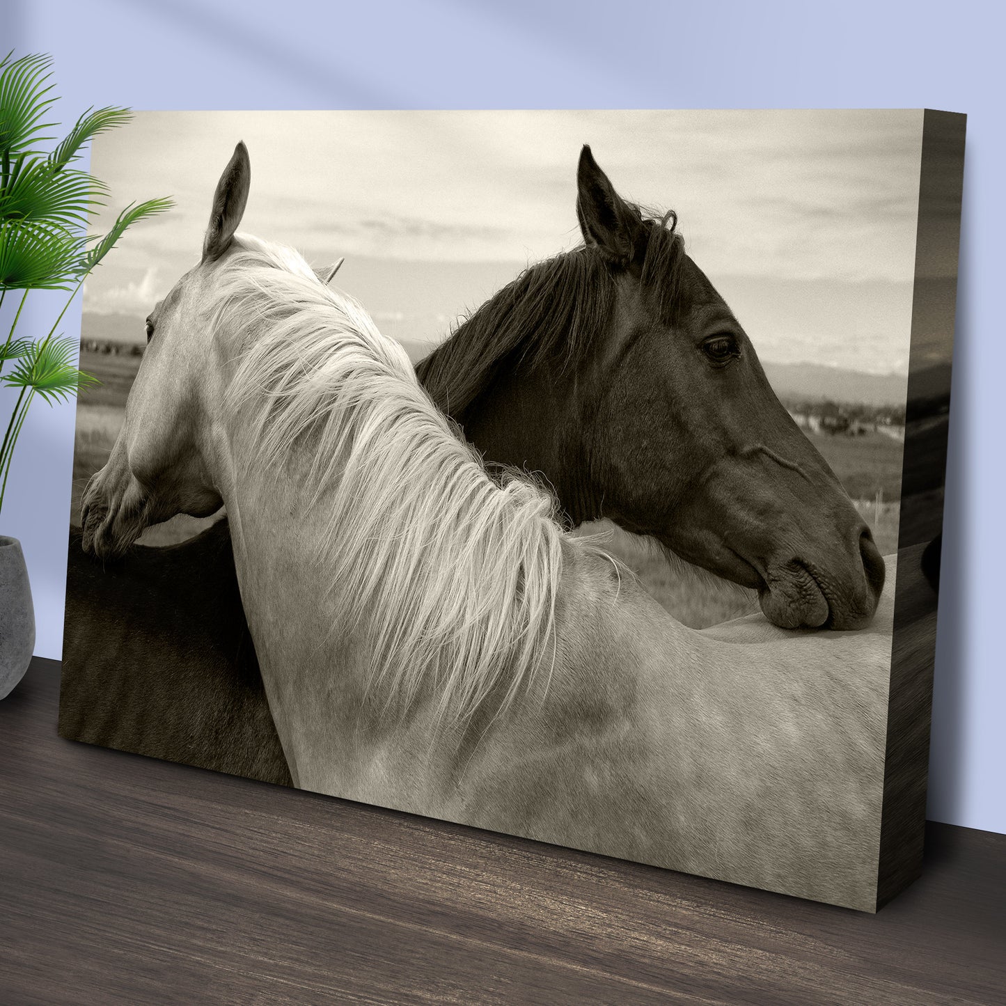 Monochrome Couple Horse Canvas Wall Art Style 1 - Image by Tailored Canvases