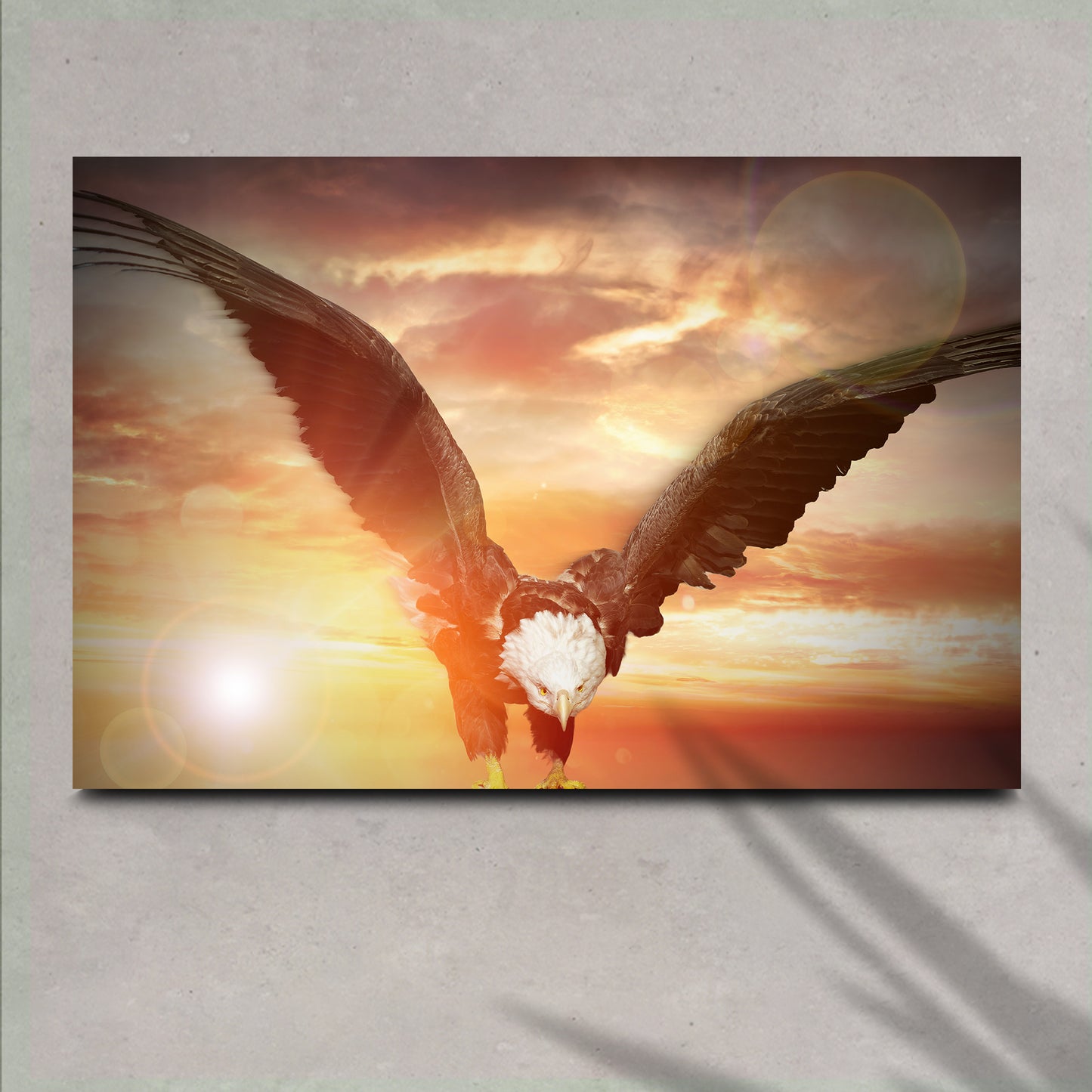 Soaring Bald Eagle Canvas Wall Art Style 1 - Image by Tailored Canvases