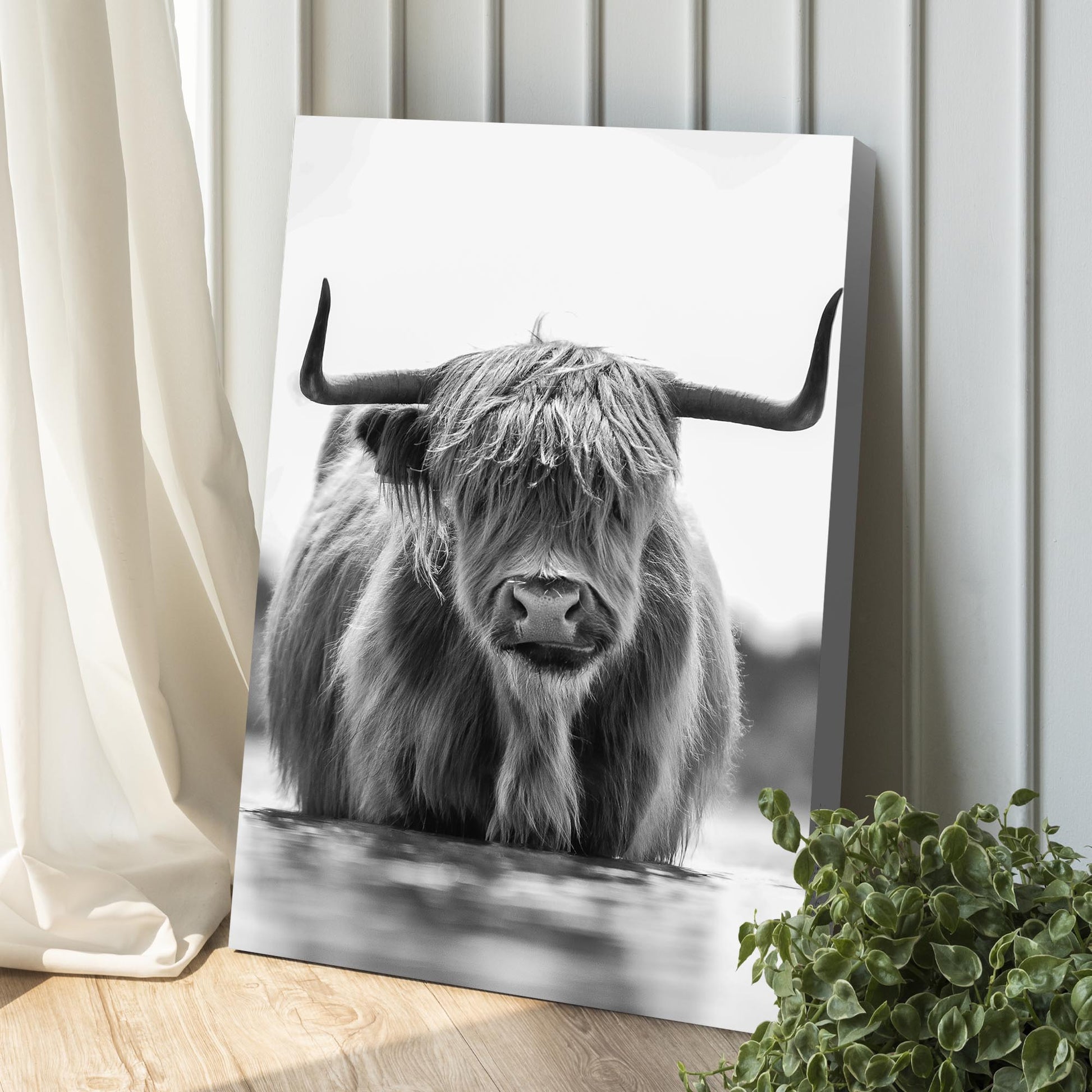 Grayscale Highland Cow Portrait Canvas Wall Art Style 1 - Image by Tailored Canvases