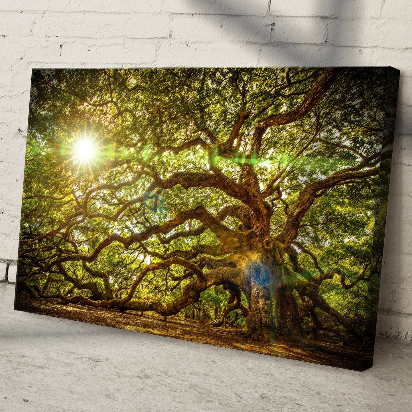 Angel Oak Tree Canvas Wall Art Style 1 - Image by Tailored Canvases