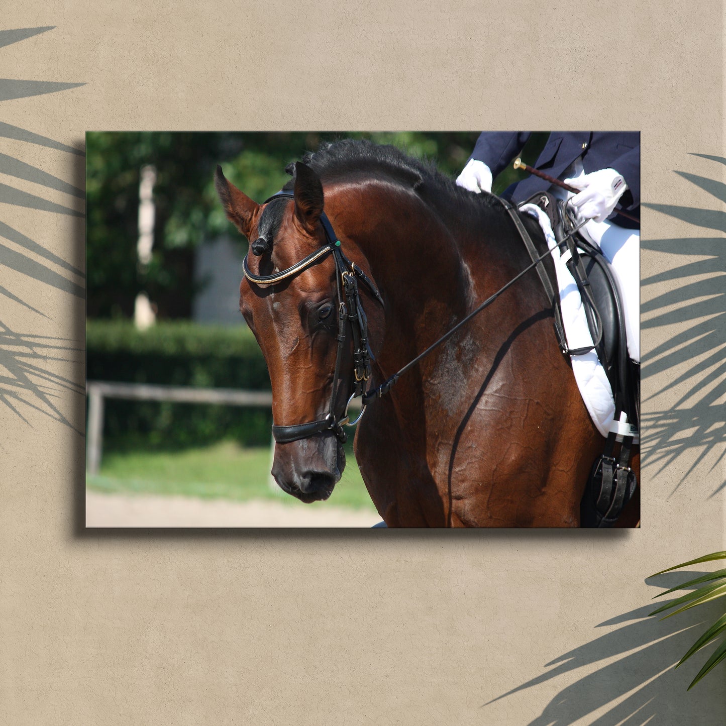 Equestrian Horse Jumping Canvas Wall Art II Style 1 - Image by Tailored Canvases