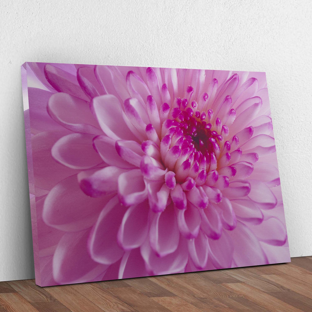 Dahlia Up Close Canvas Wall Art by Tailored Canvases