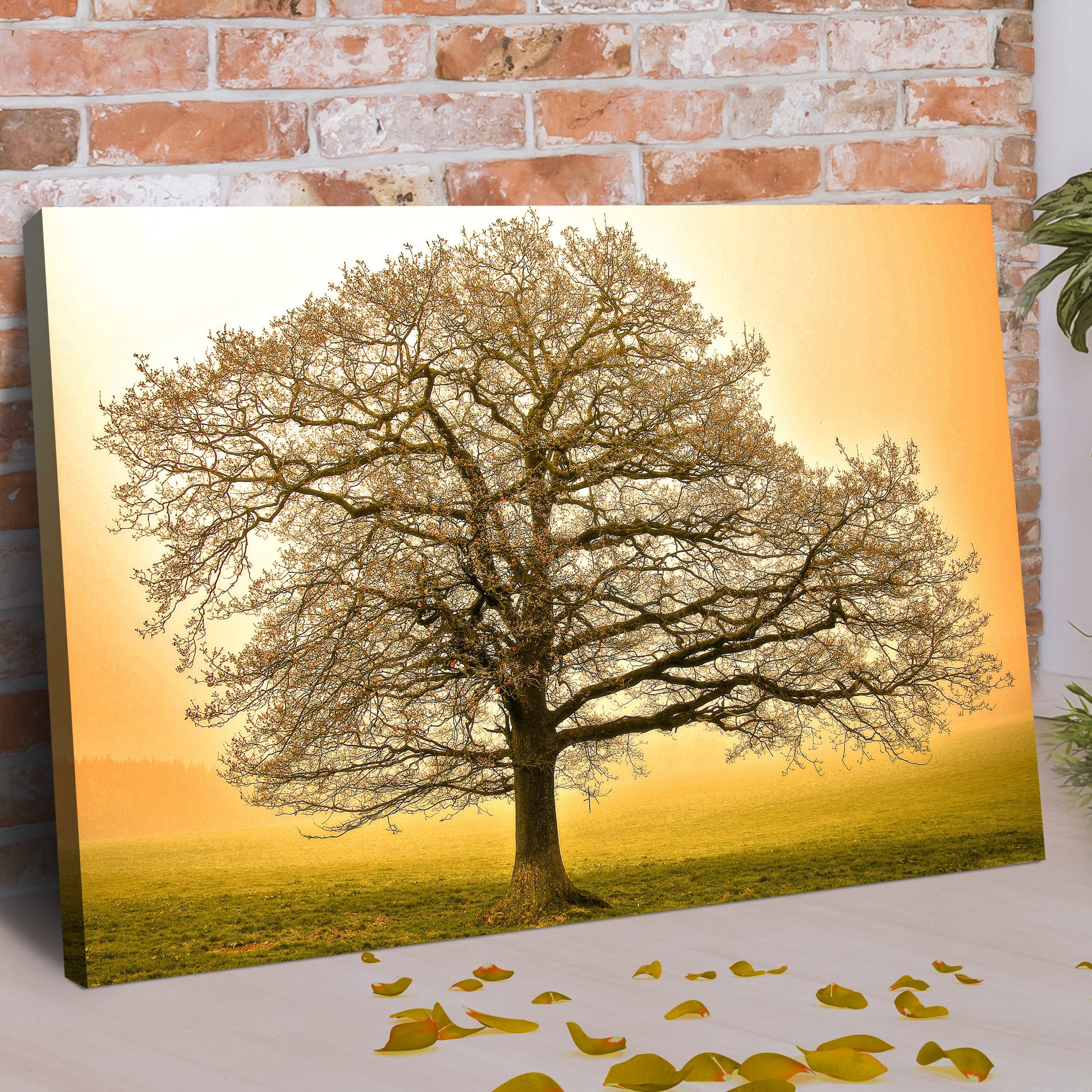 Golden Oak Tree Canvas Wall Art Style 1 - Image by Tailored Canvases