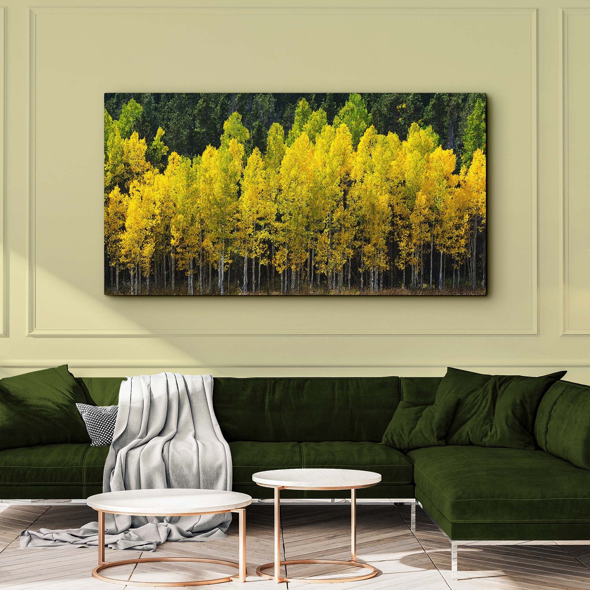 Colorado Aspen Grove Canvas Wall Art Style 2 - Image by Tailored Canvases