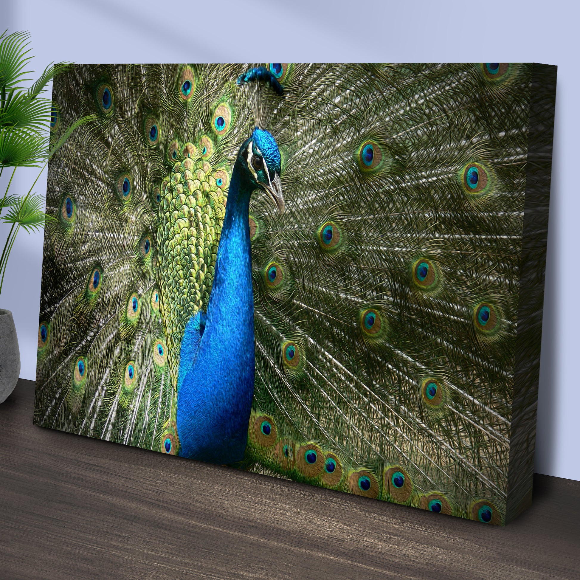Peacock Up Close Canvas Wall Art Style 2 - Image by Tailored Canvases
