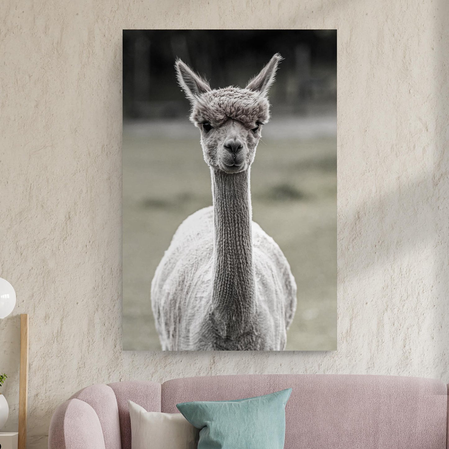 Monochrome Curious Llama Portrait Canvas Wall Art Style 2 - Image by Tailored Canvases