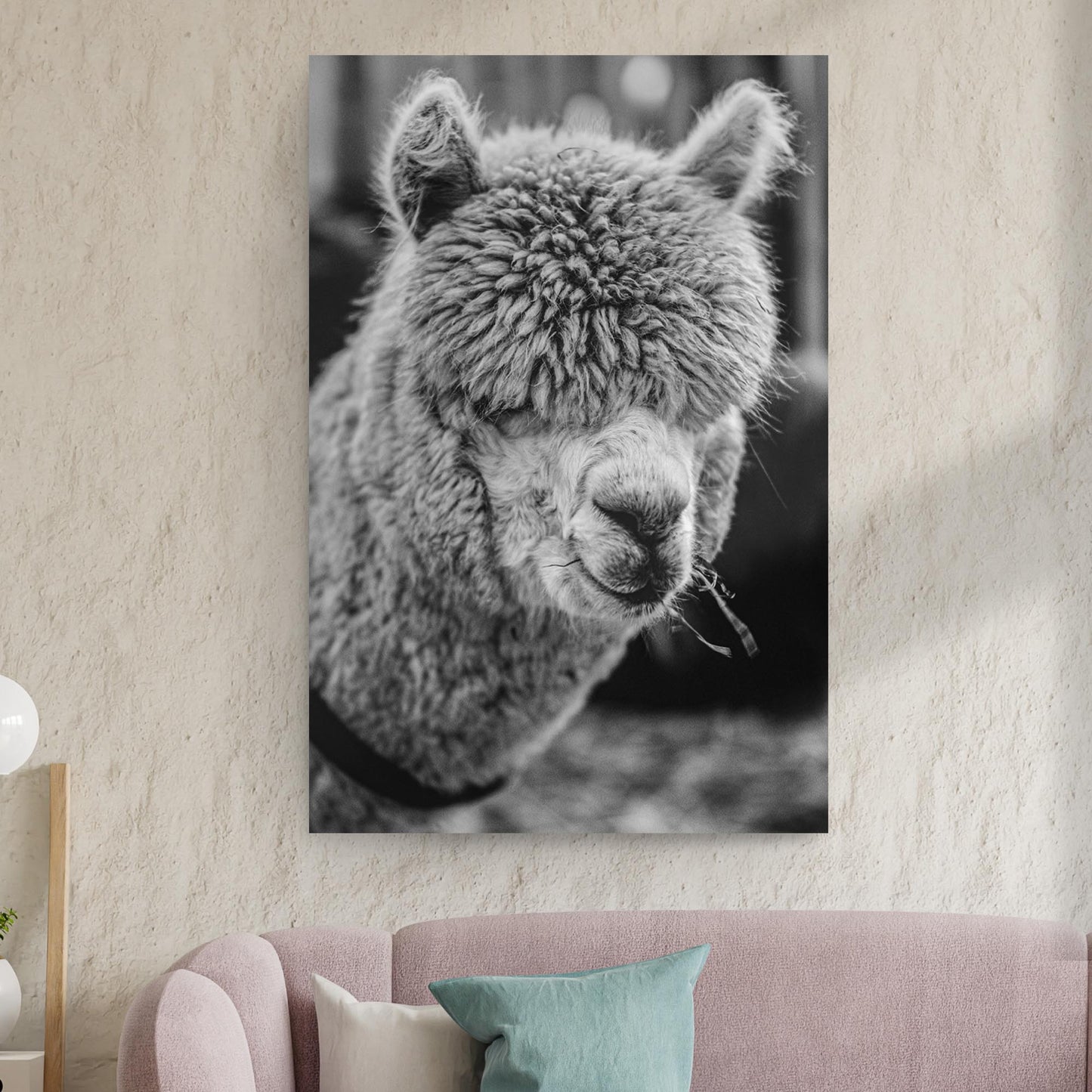 Monochrome Alpaca Up Close Portrait Canvas Wall Art Style 2 - Image by Tailored Canvases