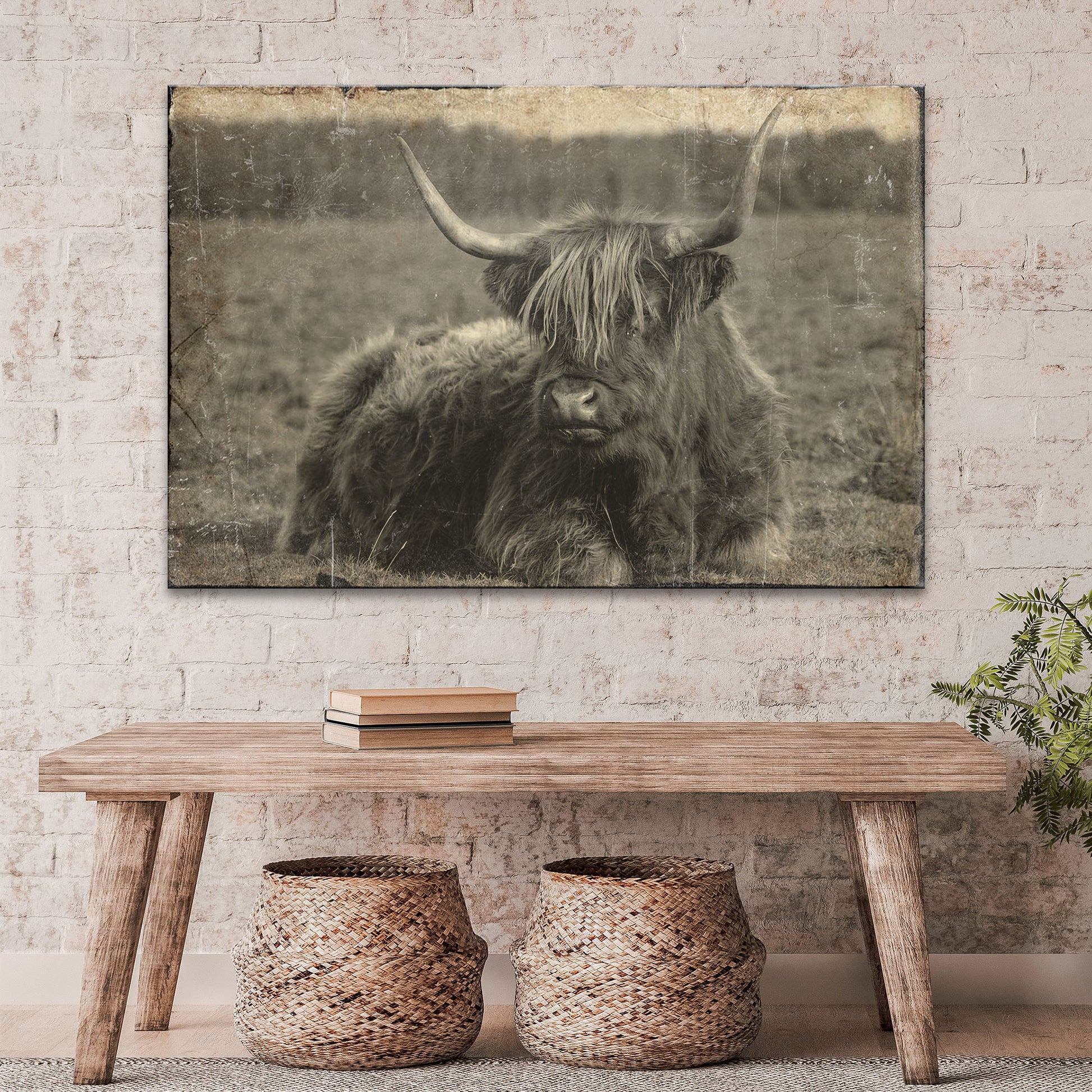 Vintage Highland Portrait - Image by Tailored Canvases