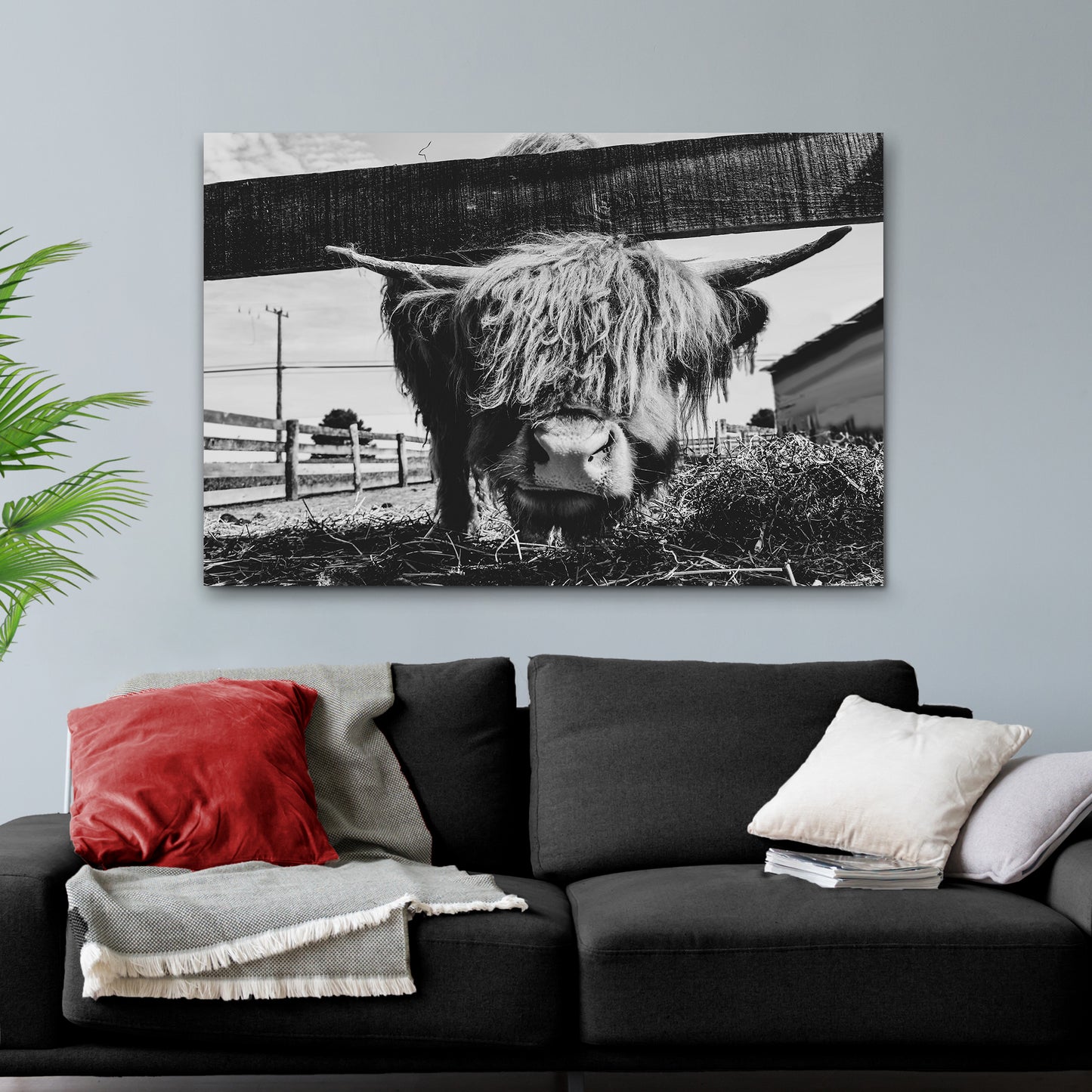 Curious Highland Cattle Monochrome Canvas Wall Art Style 2 - Image by Tailored Canvases