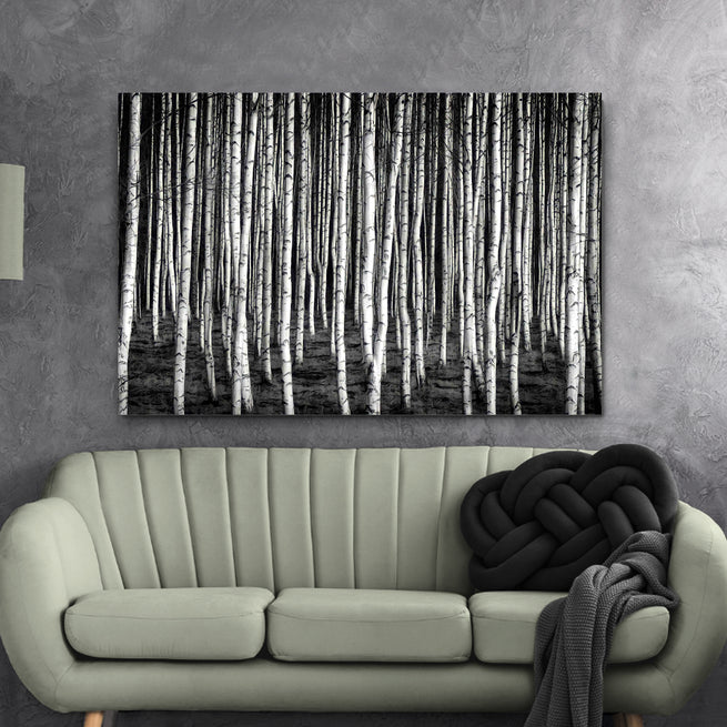 Monochrome Birch Trees Canvas Wall Art by Tailored Canvases